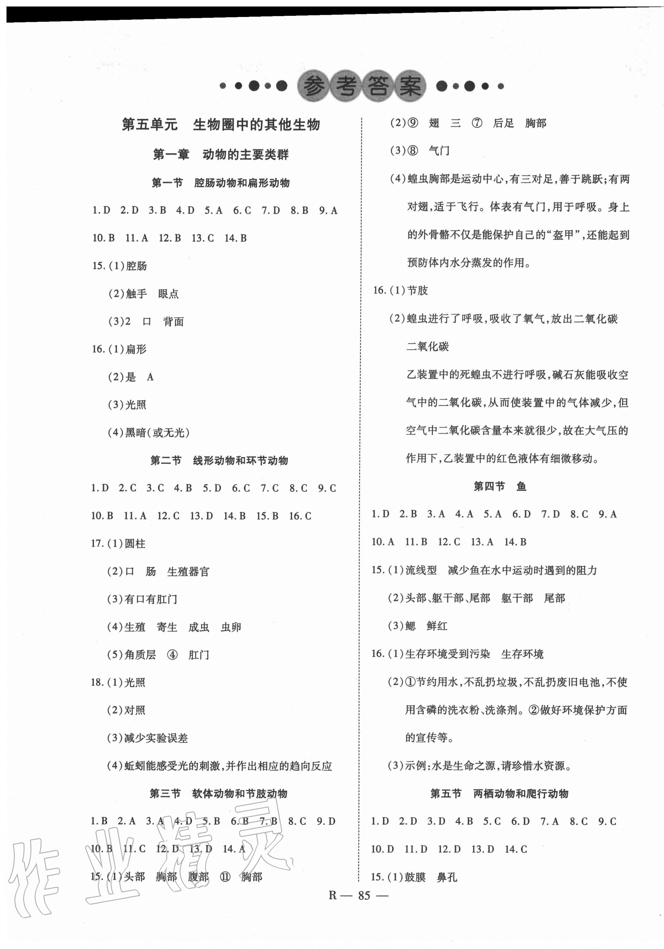 2020年酷特文化領航課堂八年級生物上冊人教版 第1頁