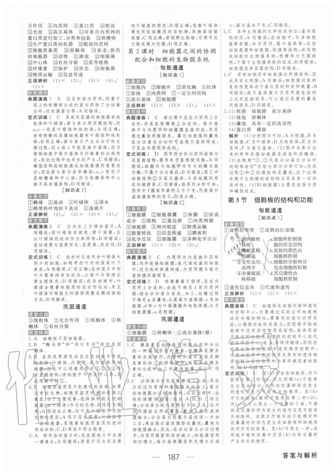 2020年綠色通道生物學必修1分子與細胞人教版 參考答案第6頁