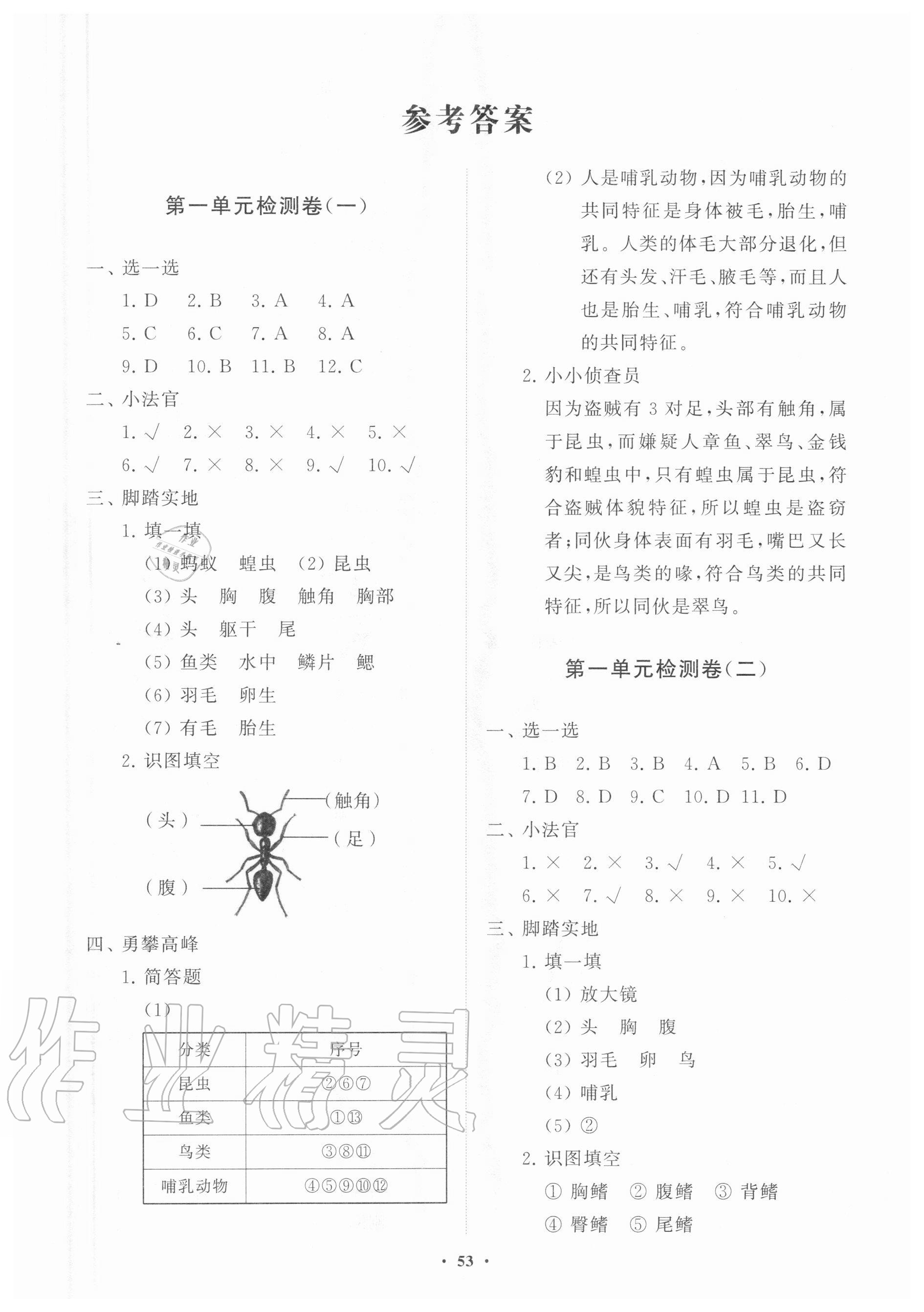 2020年小學(xué)同步練習(xí)冊分層卷四年級科學(xué)上冊青島版 第1頁