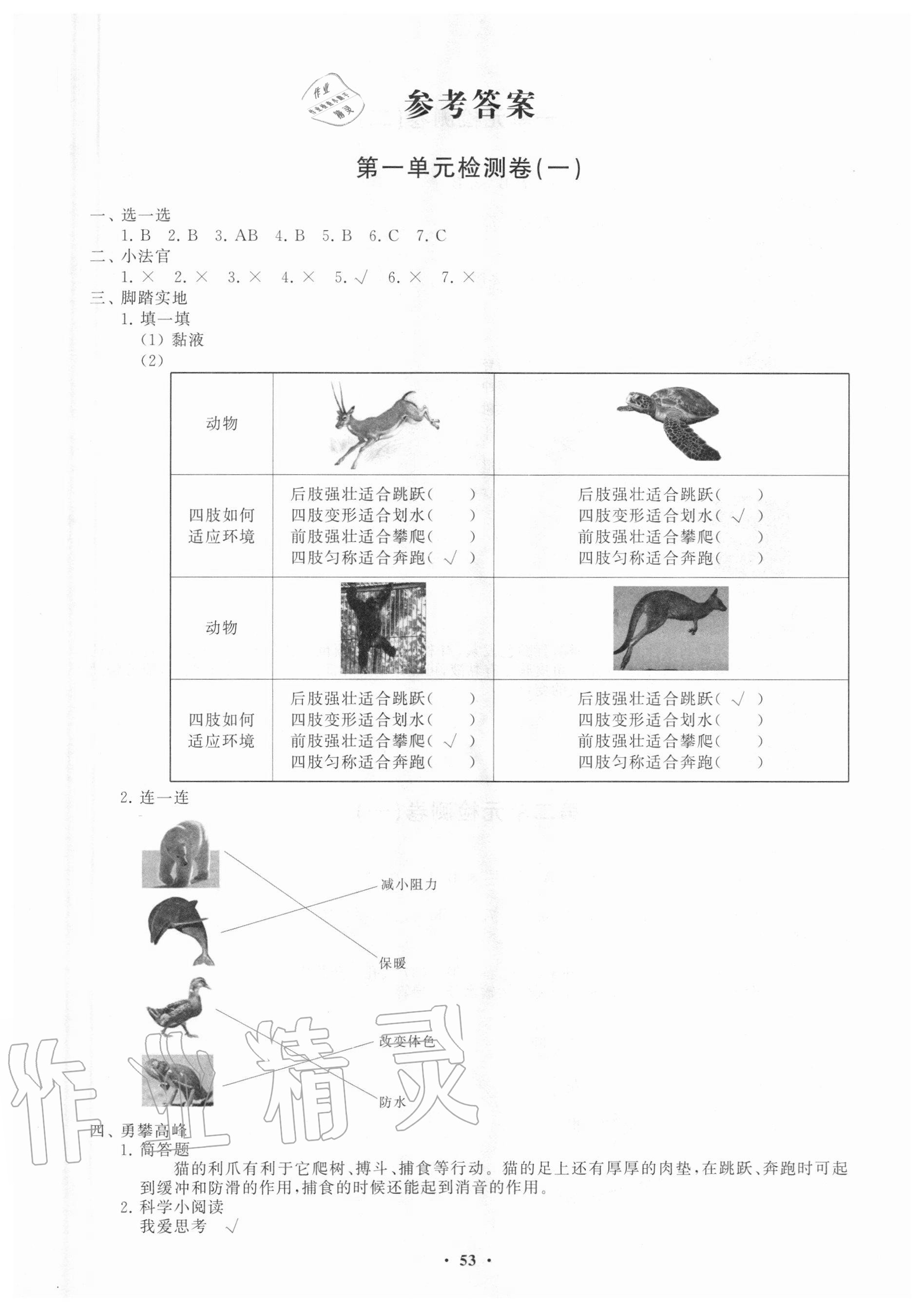 2020年小學(xué)同步練習(xí)冊分層卷三年級科學(xué)上冊青島版 第1頁