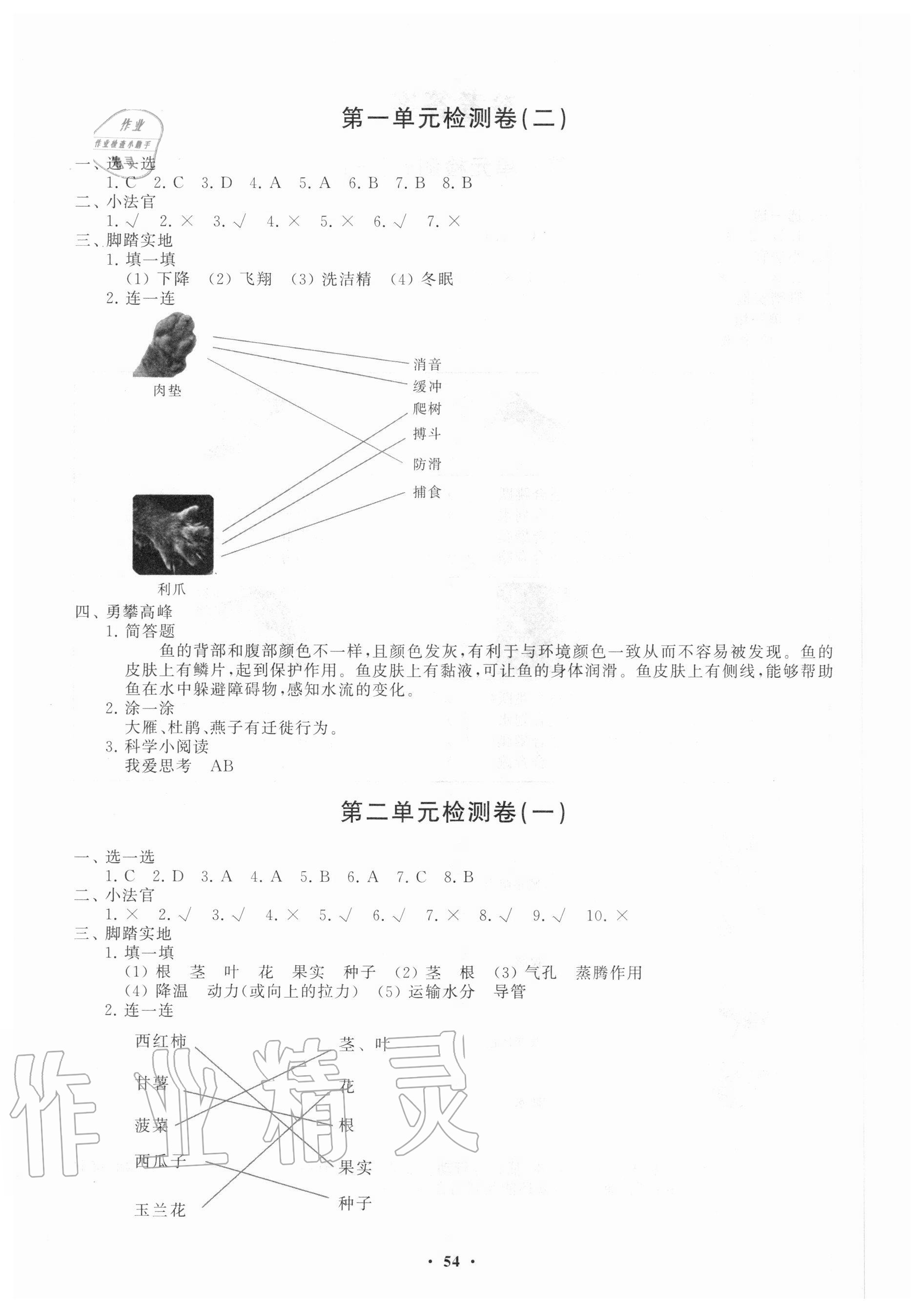 2020年小學(xué)同步練習(xí)冊(cè)分層卷三年級(jí)科學(xué)上冊(cè)青島版 第2頁(yè)