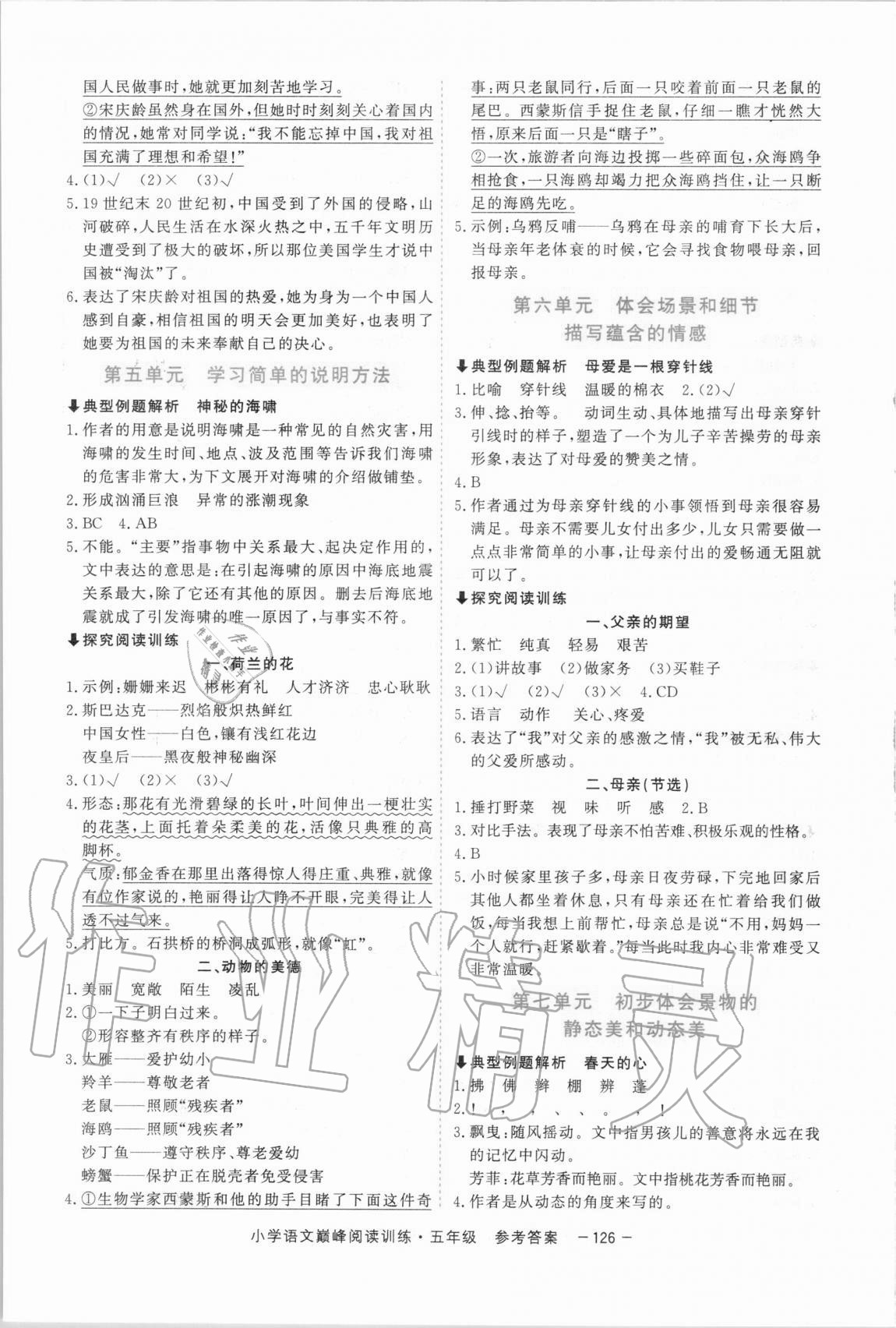 2020年新視野小學語文巔峰閱讀訓練五年級人教版 參考答案第3頁