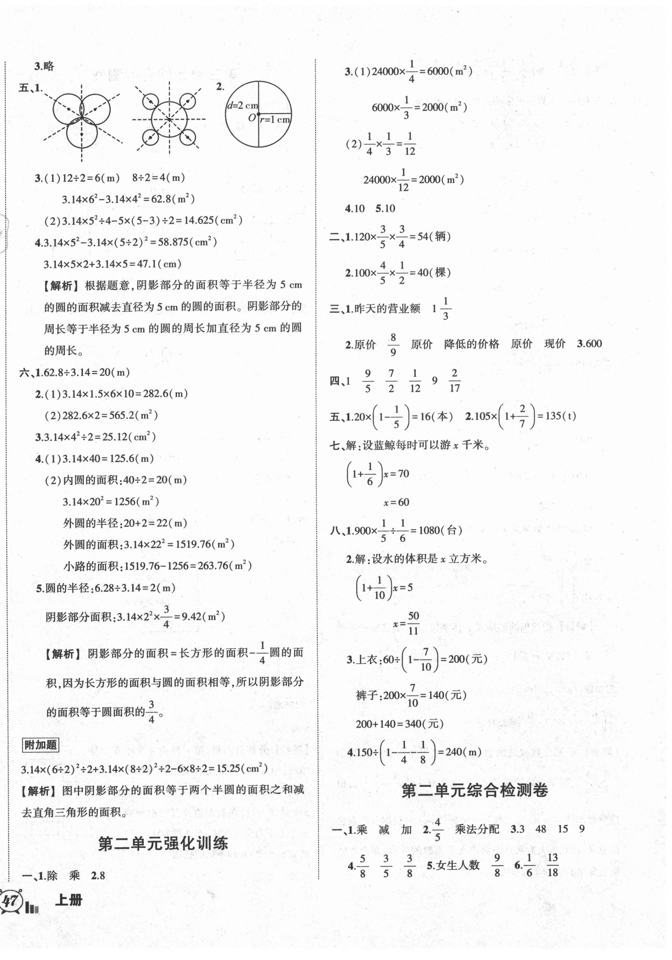 2020年?duì)钤刹怕穭?chuàng)新名卷六年級(jí)數(shù)學(xué)上冊(cè)北師大版 參考答案第2頁(yè)