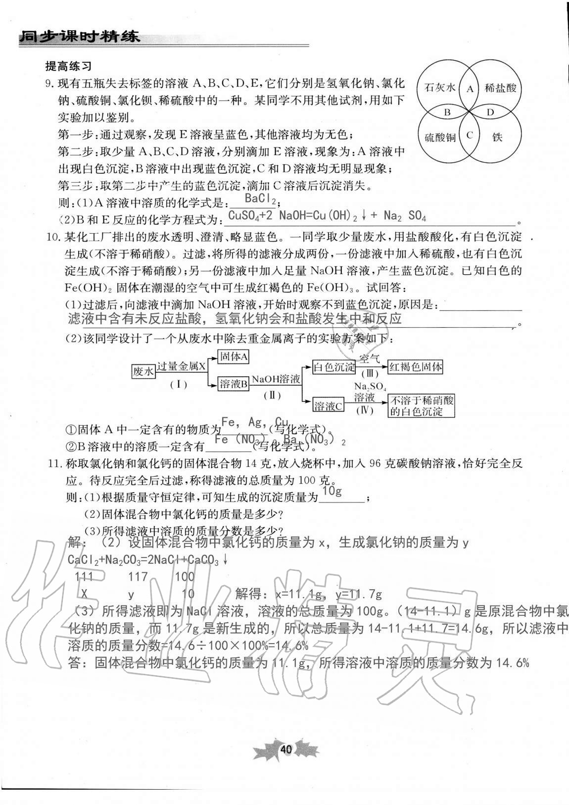 2020年同步課時(shí)精練九年級(jí)科學(xué)全一冊浙教版 第40頁