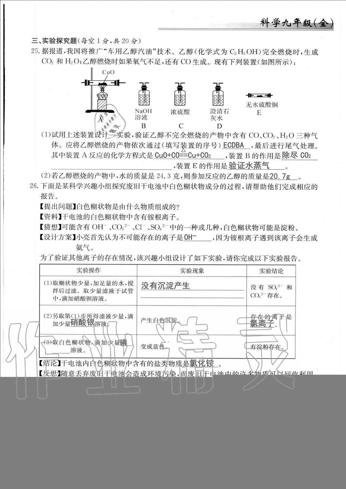 2020年同步課時(shí)精練九年級科學(xué)全一冊浙教版 第21頁