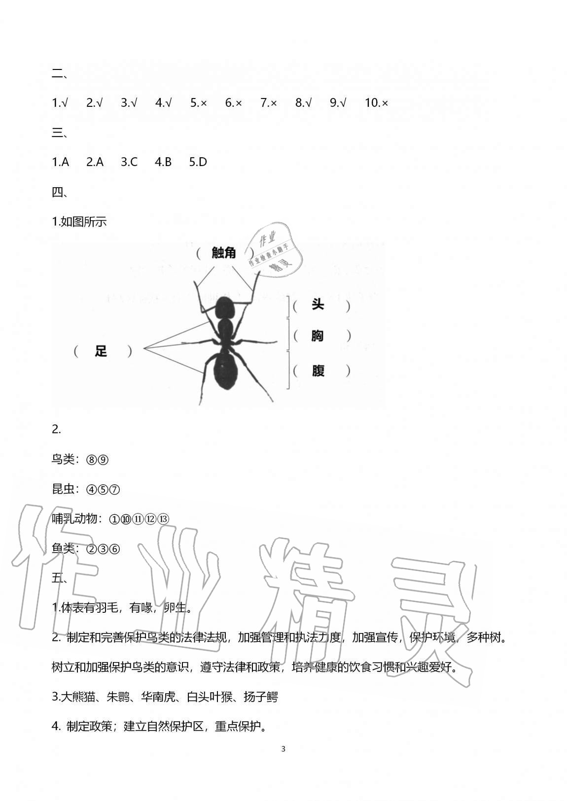 2020年單元自測(cè)試卷四年級(jí)科學(xué)上學(xué)期青島版 第3頁