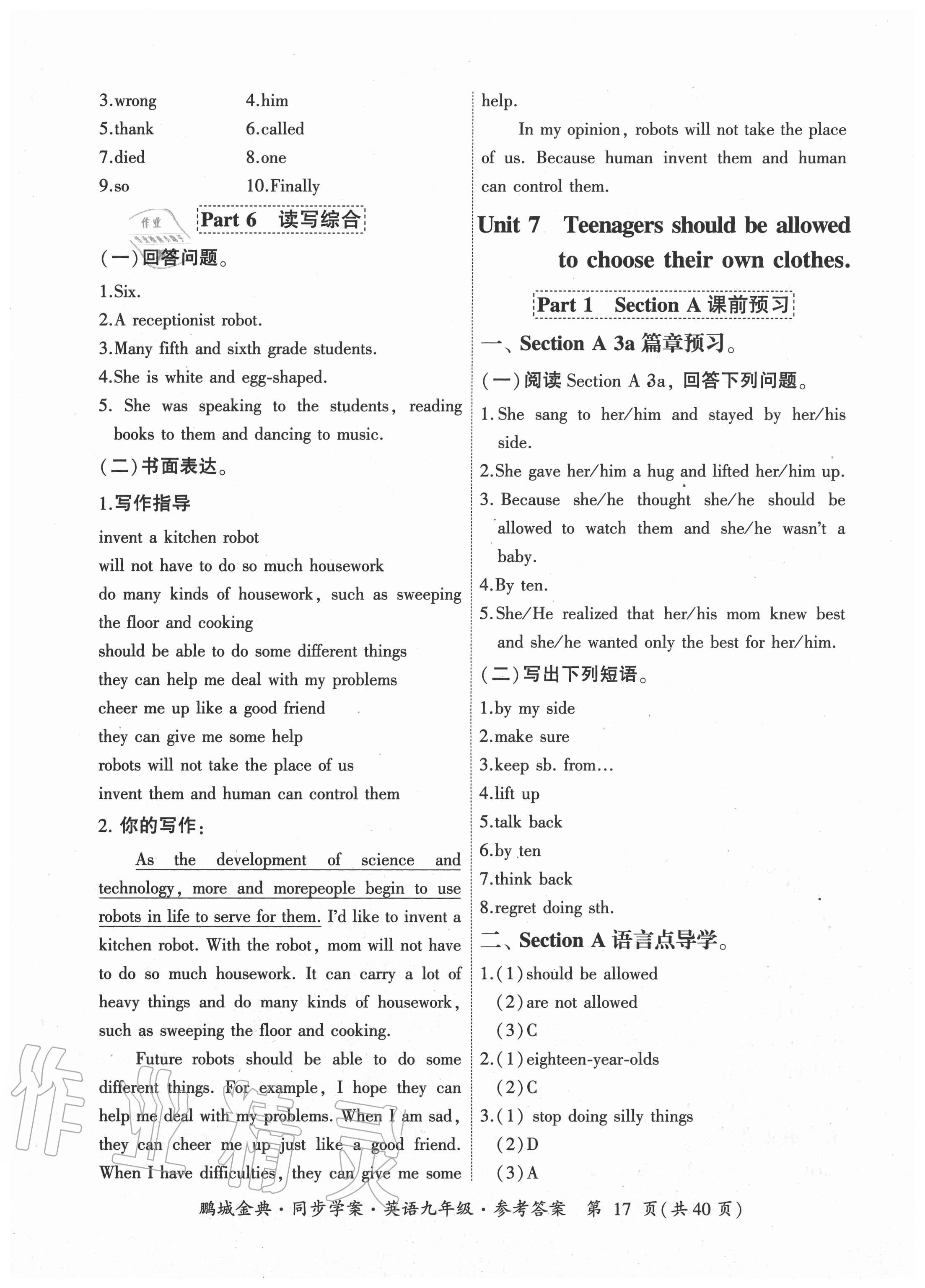 2020年鵬城金典同步學案九年級英語人教版廣東專版 參考答案第17頁