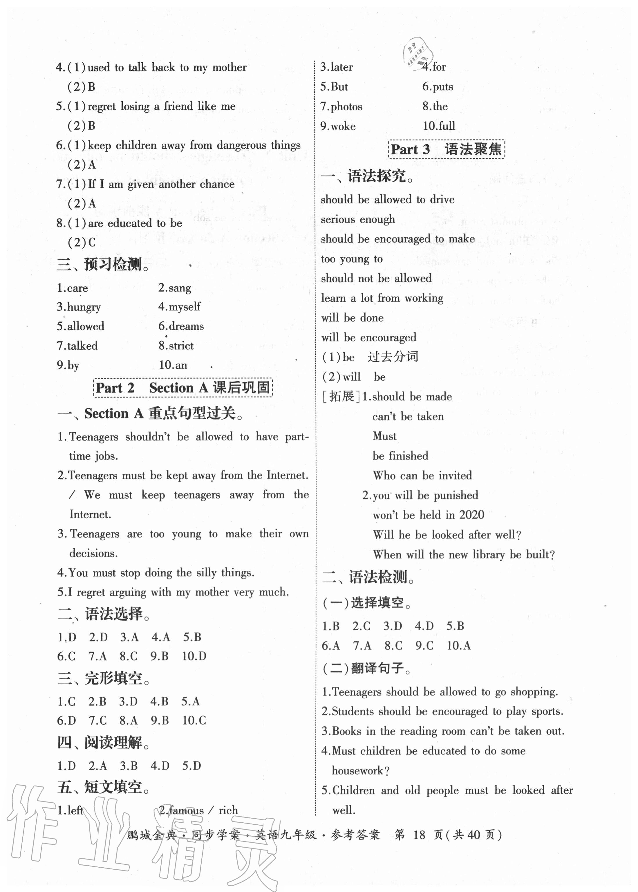 2020年鵬城金典同步學(xué)案九年級(jí)英語人教版廣東專版 參考答案第18頁