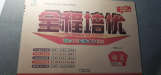 2020年全程培優四年級語文上冊人教版