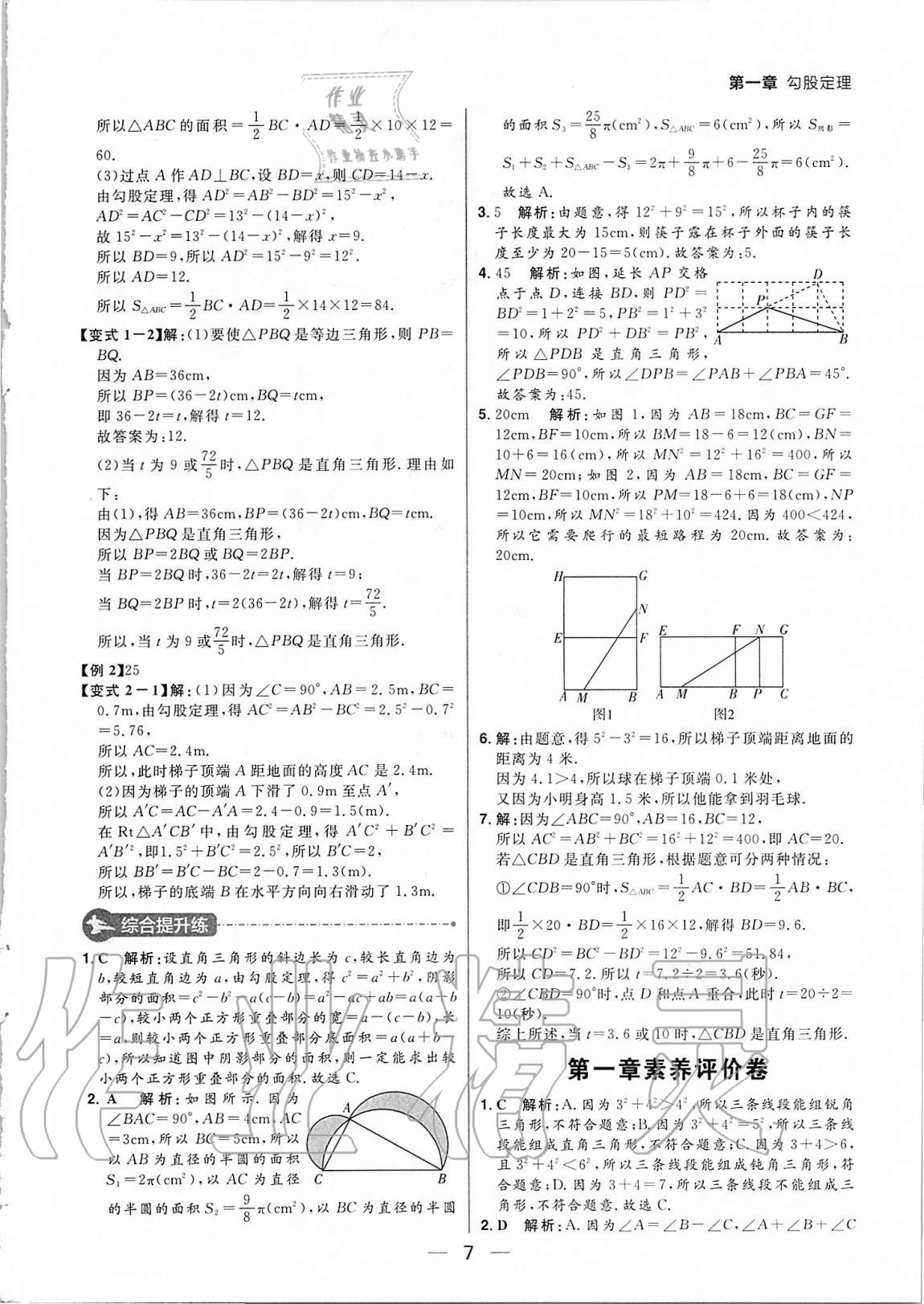 2020年练出好成绩八年级数学上册北师大版河南专版 参考答案第7页