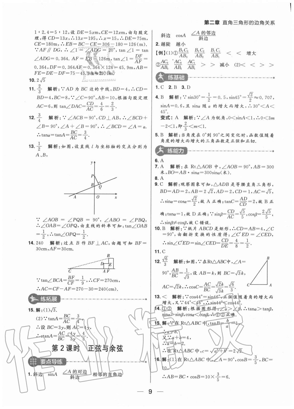 2020年练出好成绩九年级数学上册鲁教版54制 参考答案第9页