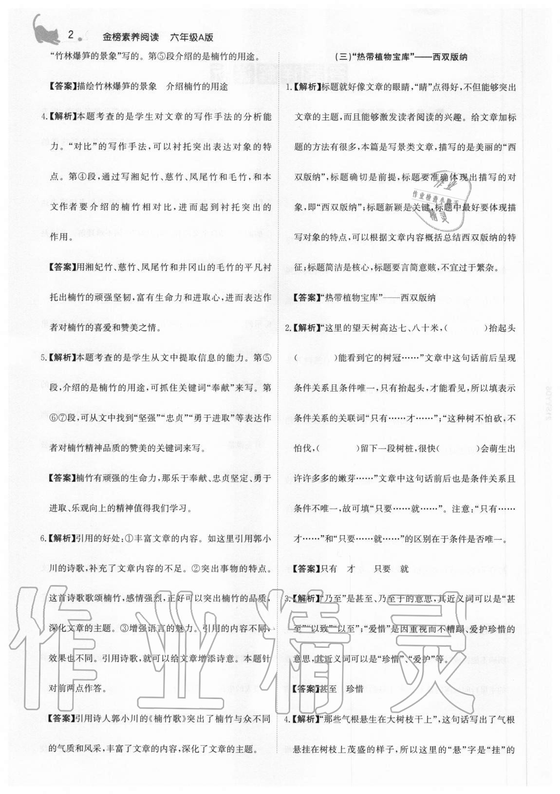 2020年金榜素養閱讀六年級部編版A版福建專版 參考答案第2頁