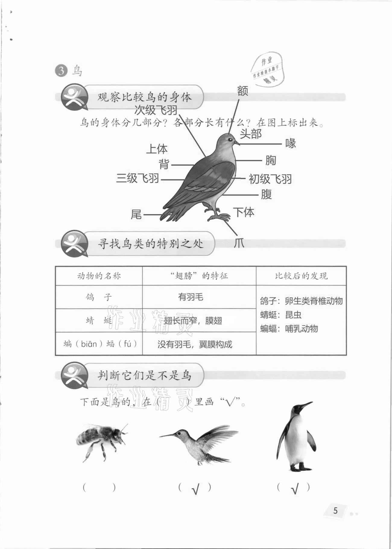 2020年科學學生活動手冊三年級上冊湘科版 第5頁