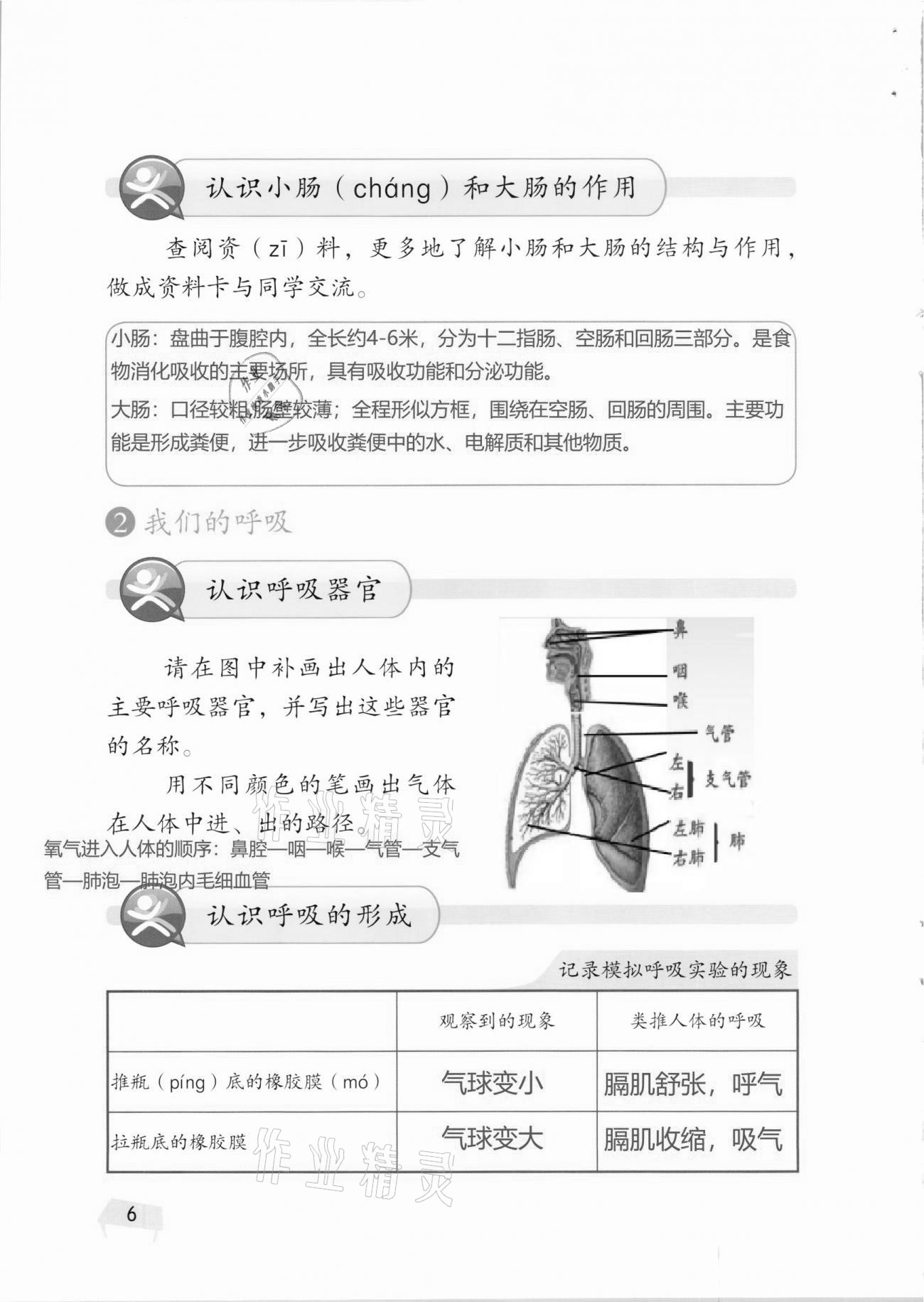 2020年科學(xué)學(xué)生活動(dòng)手冊(cè)四年級(jí)上冊(cè)湘科版 第6頁(yè)