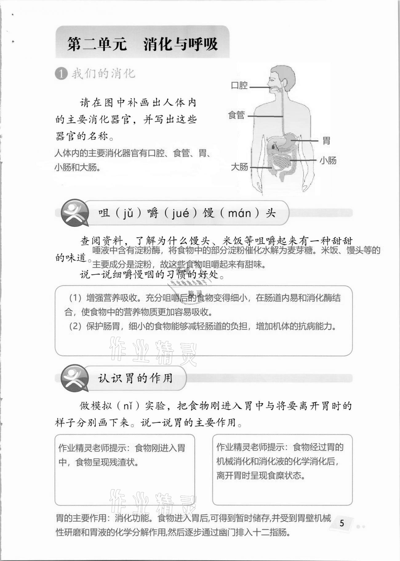 2020年科學(xué)學(xué)生活動手冊四年級上冊湘科版 第5頁