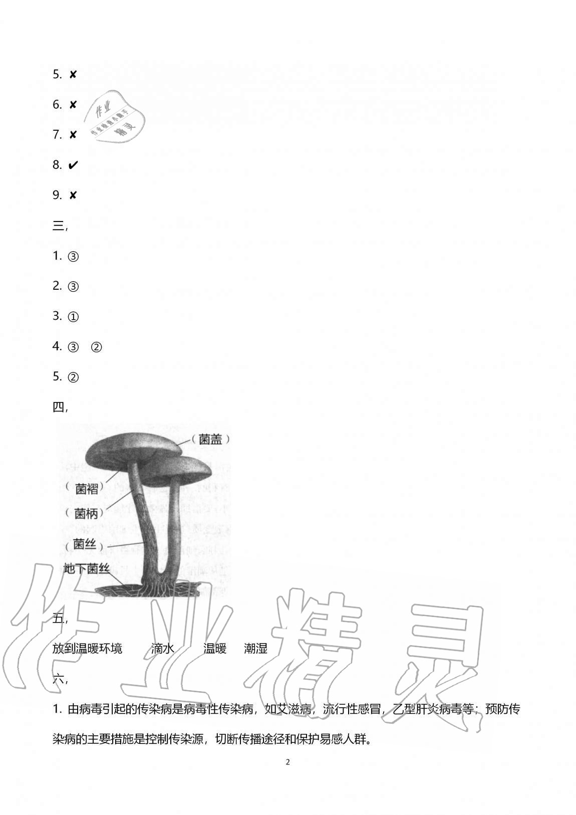 2020年小學(xué)能力素養(yǎng)自主檢測(cè)六年級(jí)科學(xué)上冊(cè)青島版 第2頁