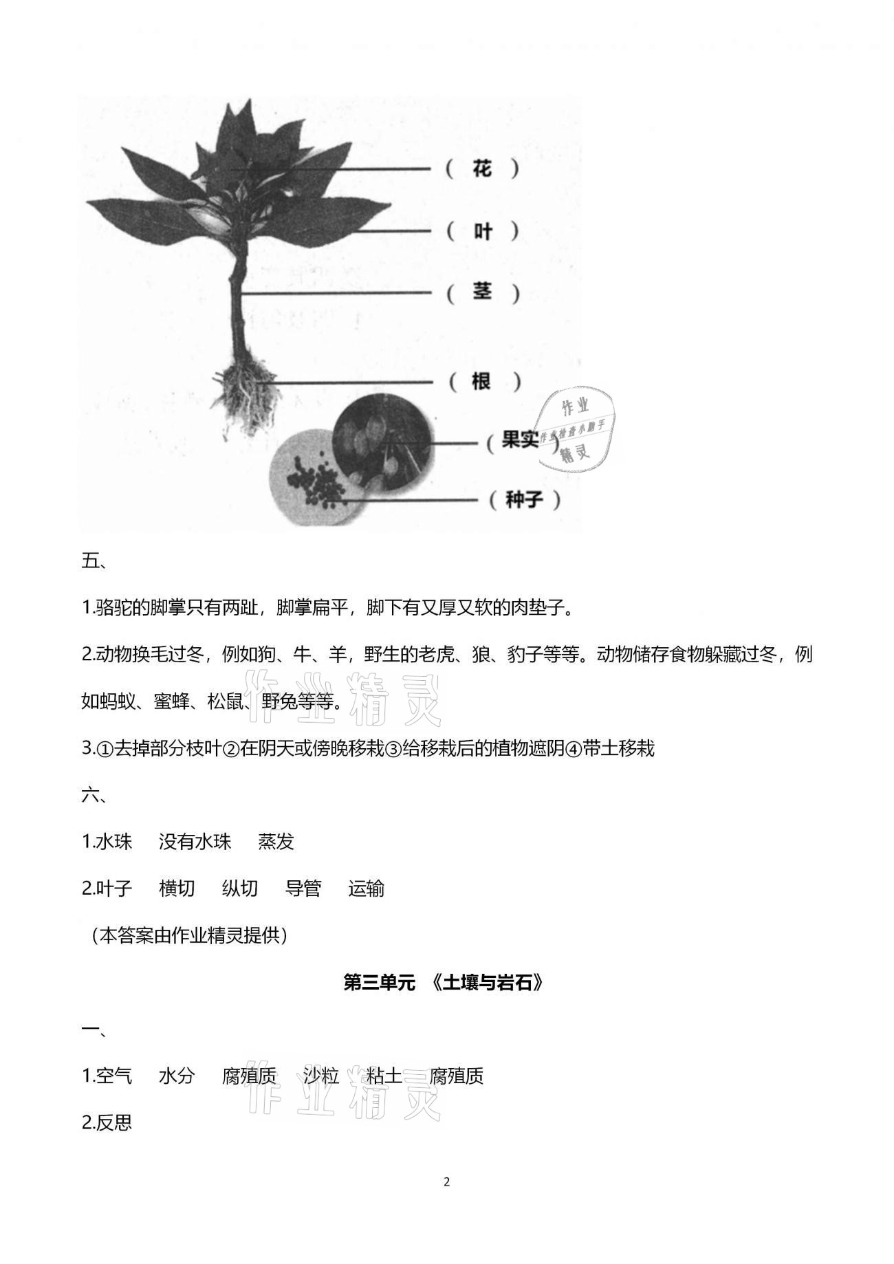 2020年小學(xué)能力素養(yǎng)自主檢測三年級(jí)科學(xué)上冊(cè)青島版 第2頁