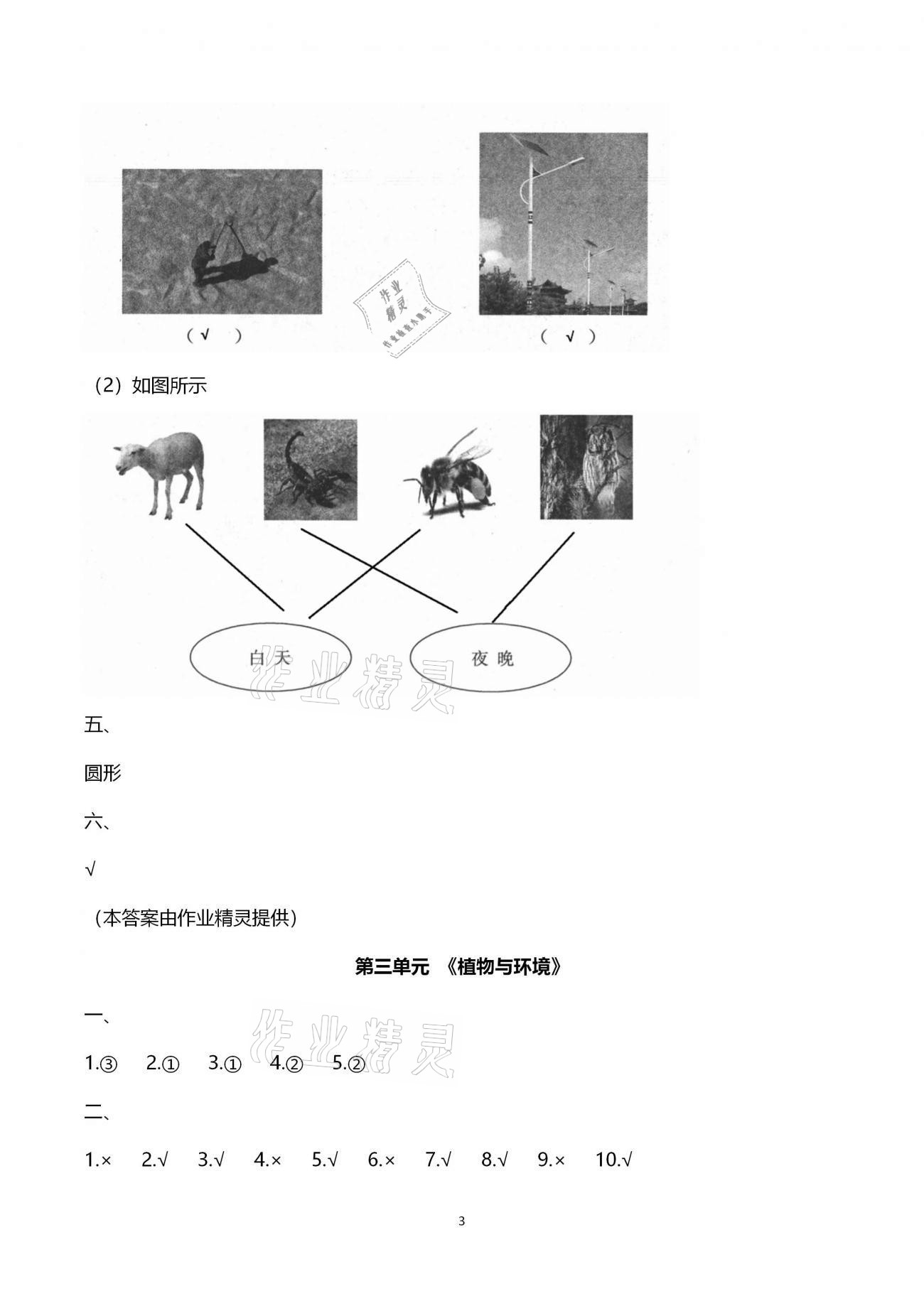 2020年小學(xué)能力素養(yǎng)自主檢測二年級科學(xué)上冊青島版 第3頁