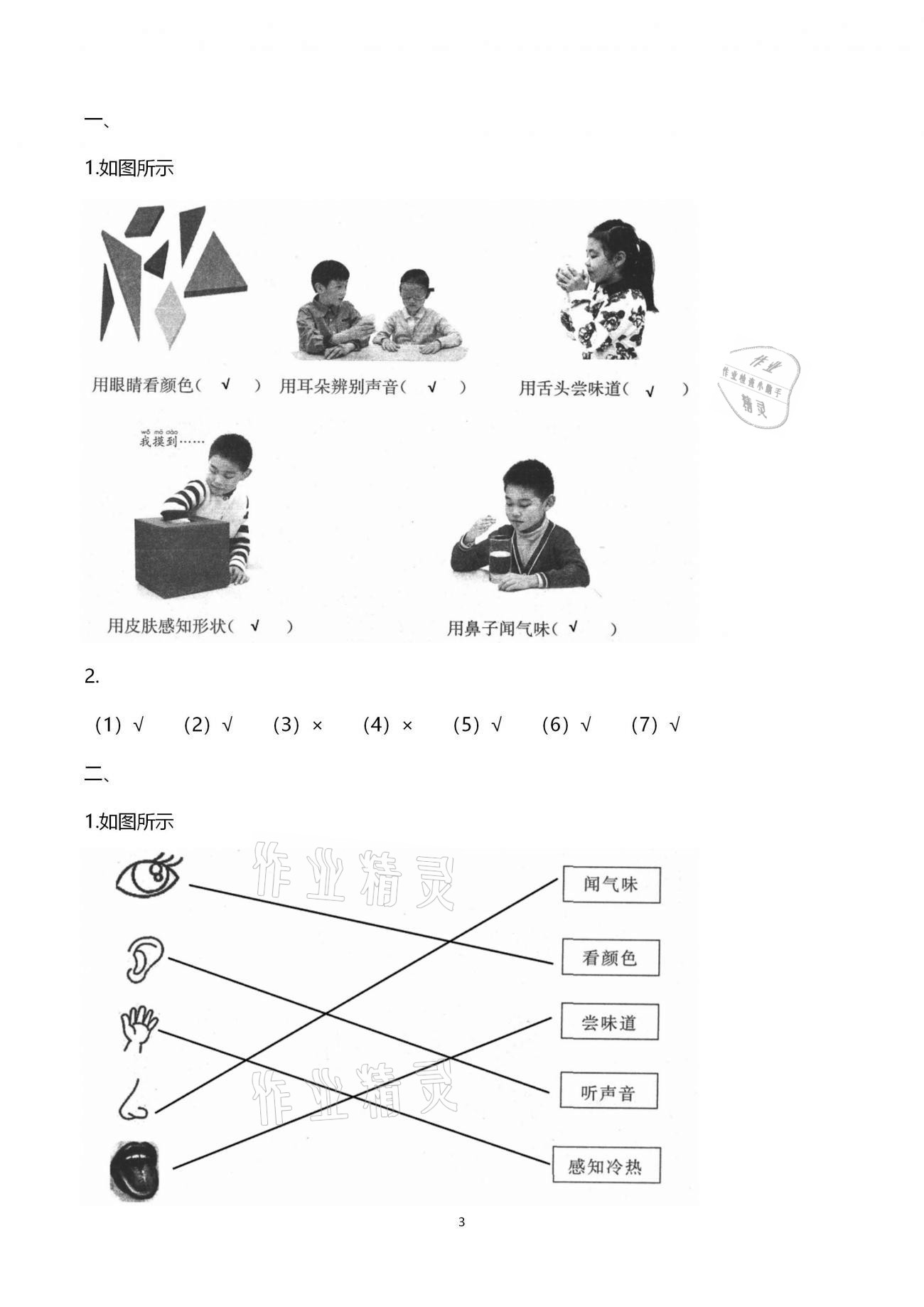 2020年小學能力素養(yǎng)自主檢測一年級科學上冊青島版 第3頁