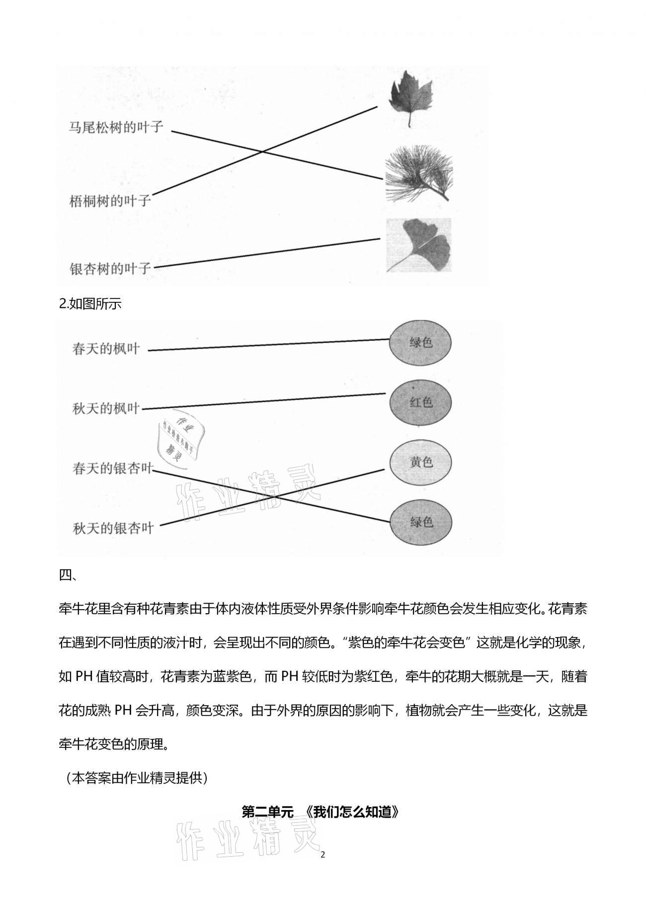 2020年小學(xué)能力素養(yǎng)自主檢測一年級科學(xué)上冊青島版 第2頁