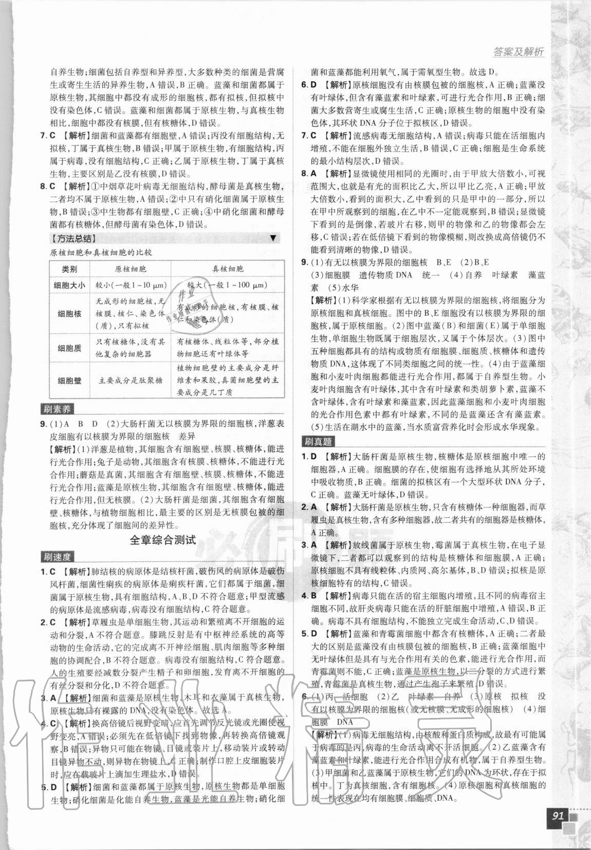 2020年高中必刷題生物必修1人教版 第3頁