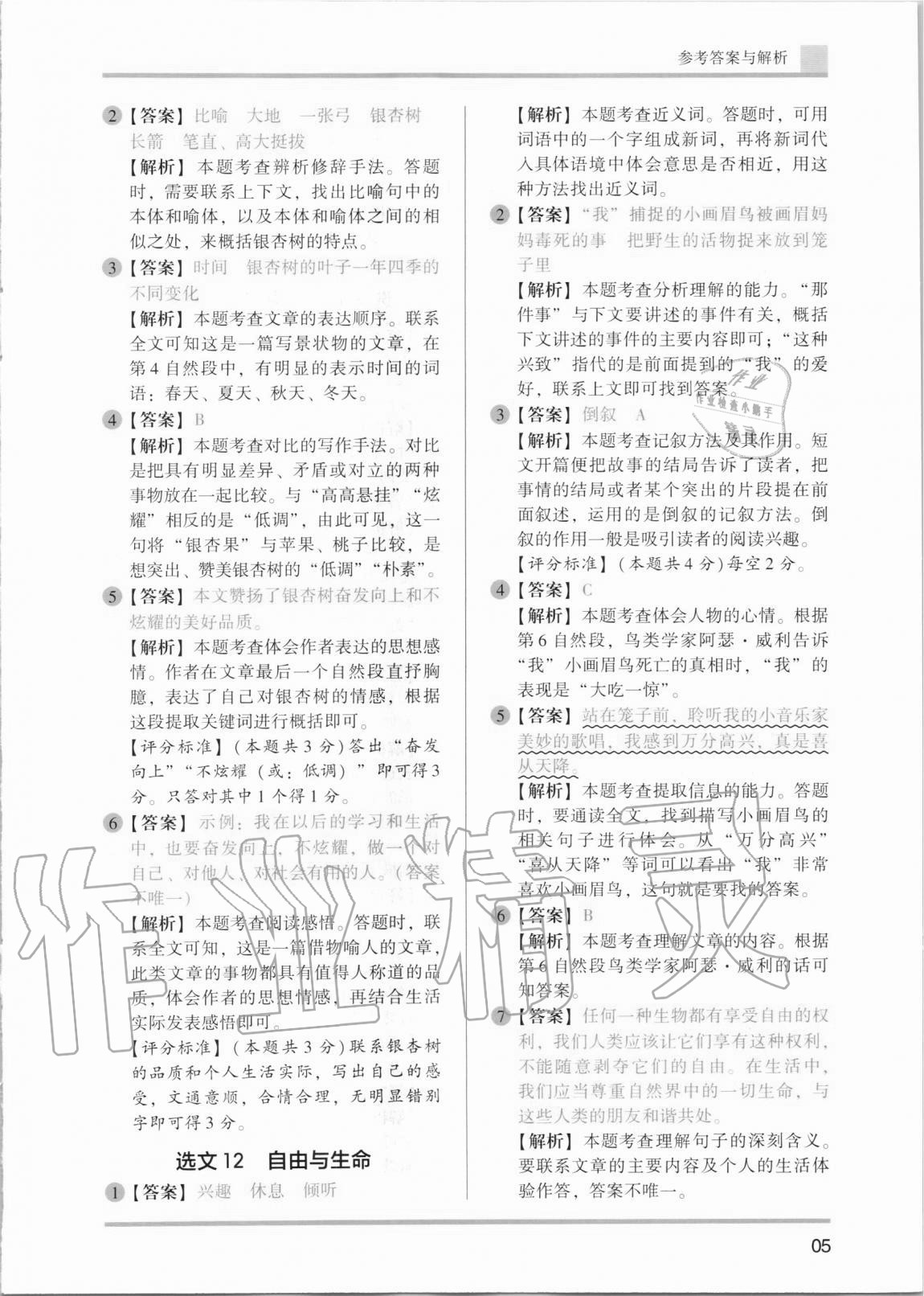 2020年木頭馬小學(xué)語(yǔ)文閱讀高效訓(xùn)練80篇四年級(jí) 第5頁(yè)