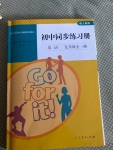 2020年初中同步練習(xí)冊(cè)九年級(jí)英語全一冊(cè)人教版山東專版人民教育出版社