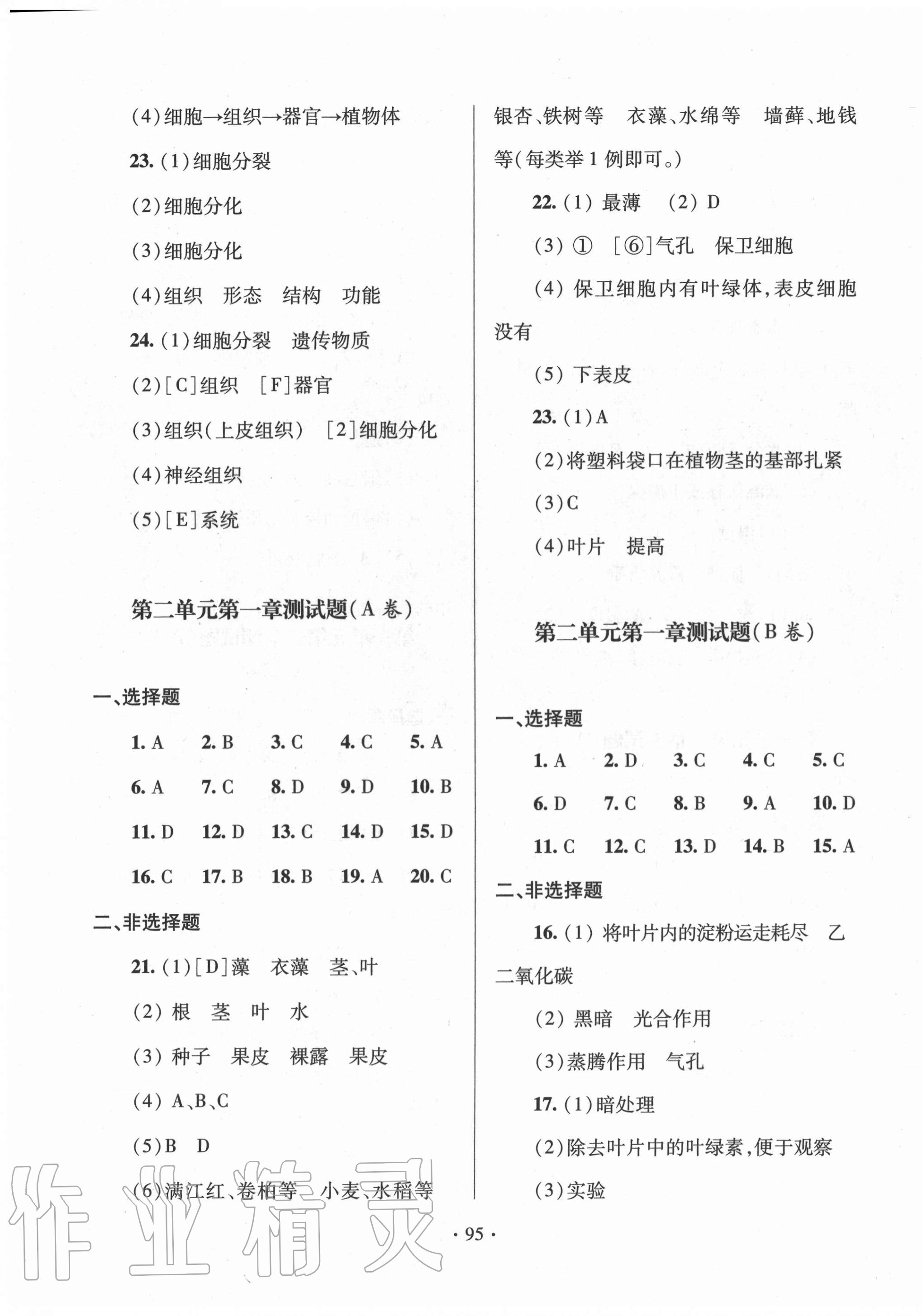 2020年單元自測試卷七年級生物上學(xué)期人教版 第3頁