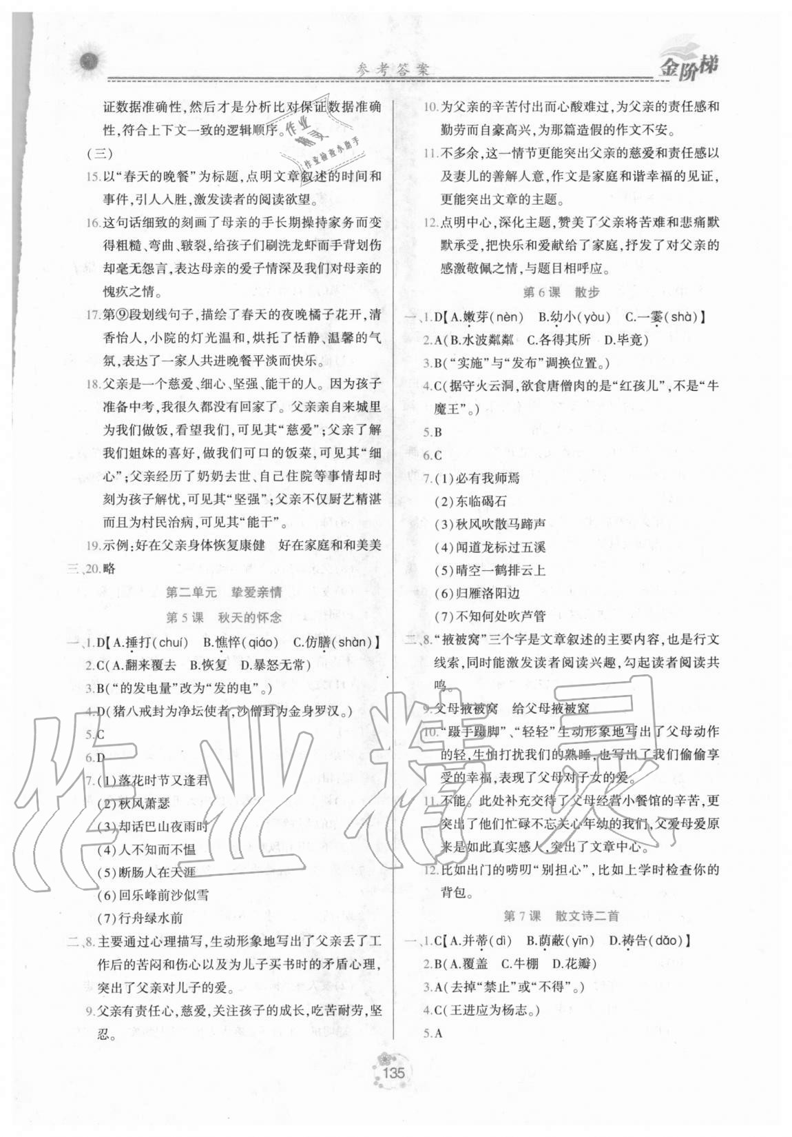 2020年金階梯課課練單元測(cè)七年級(jí)語(yǔ)文上冊(cè)人教版 第3頁(yè)