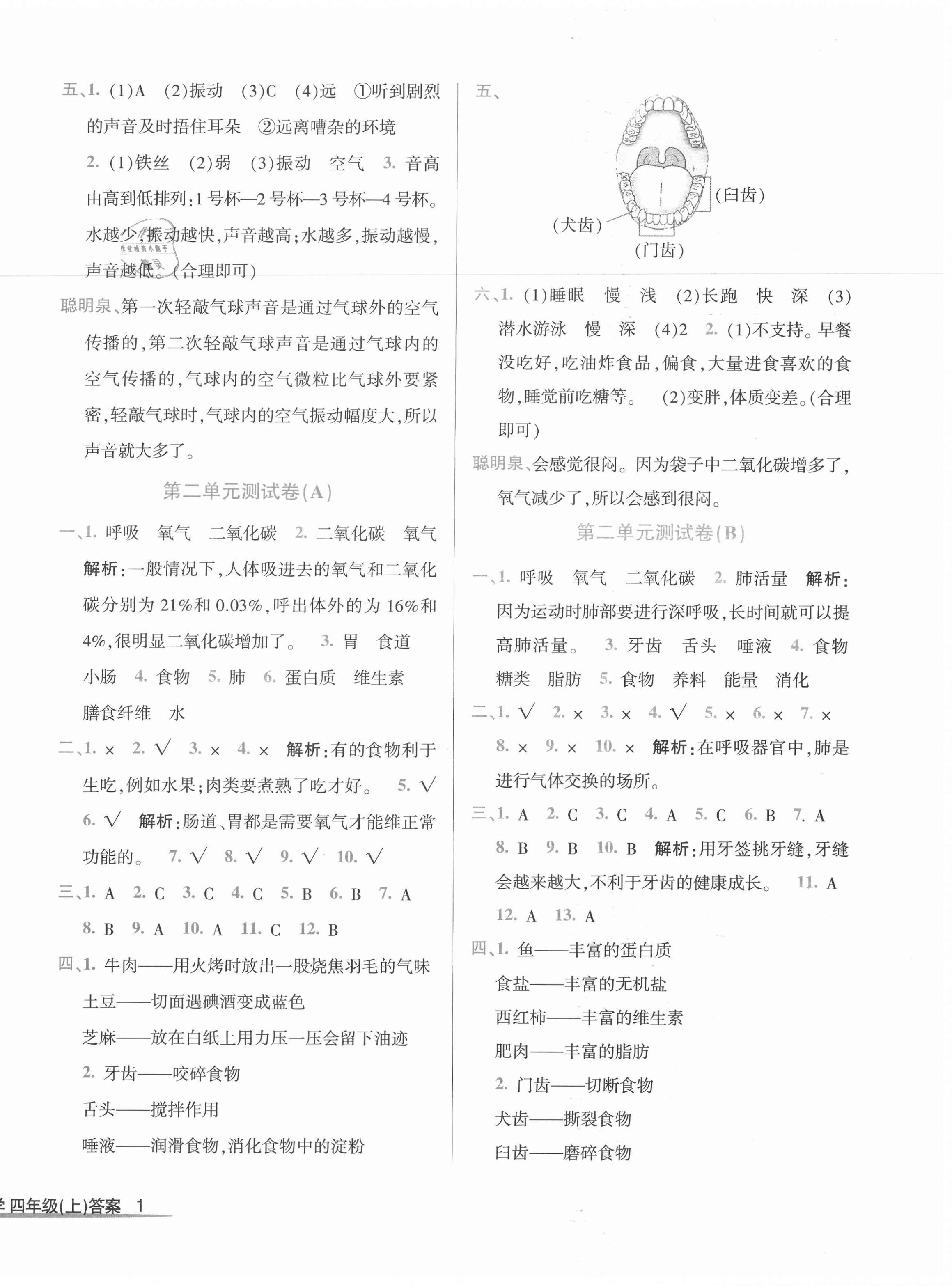 2020年浙江小狀元小學科學四年級上冊教科版 第2頁