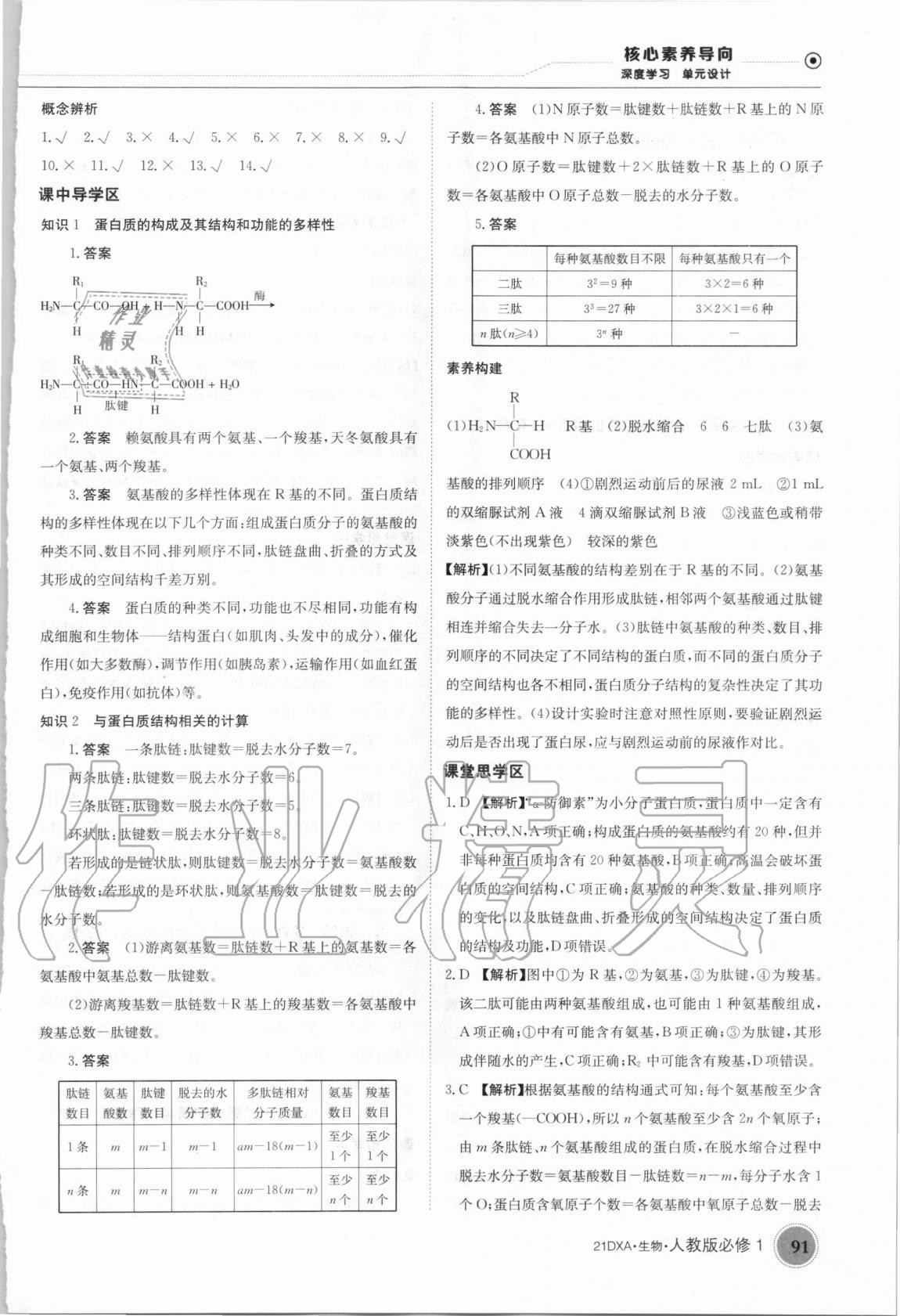 2020年金太陽導(dǎo)學(xué)案生物必修1人教版 第3頁