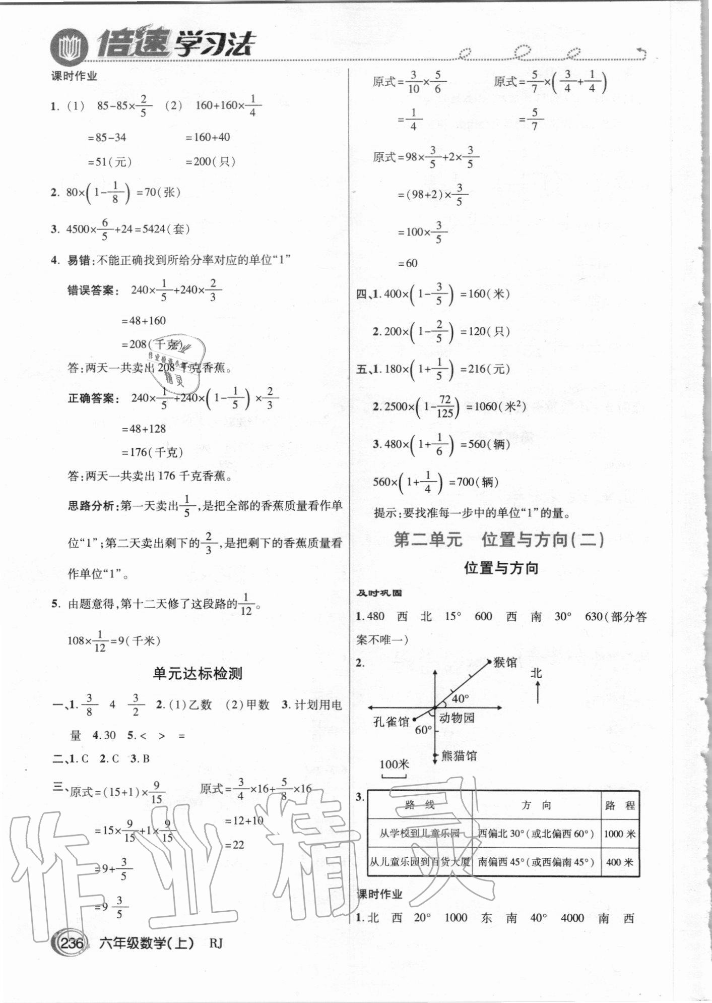 2020年倍速學(xué)習(xí)法六年級(jí)數(shù)學(xué)上冊人教版 參考答案第3頁