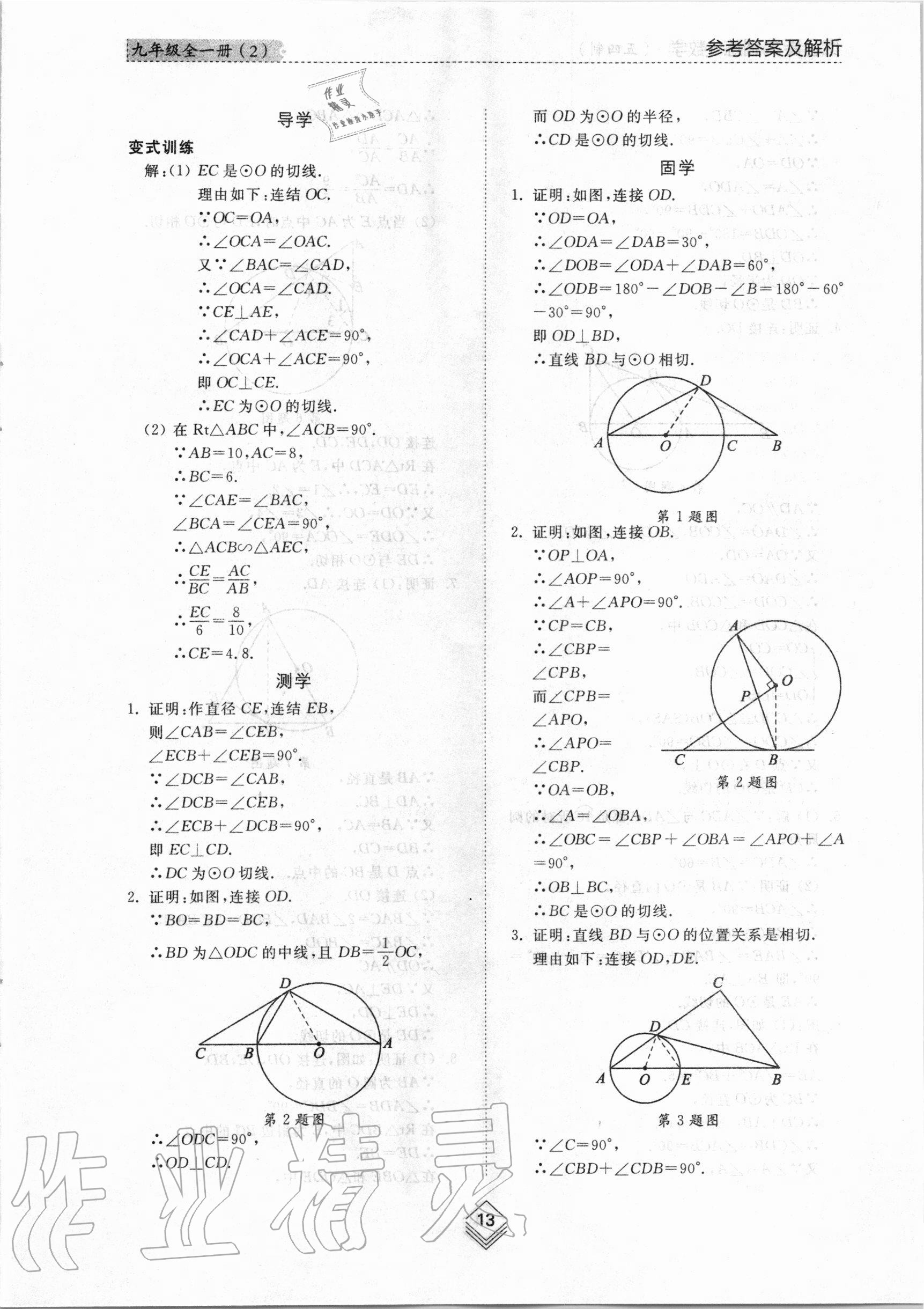 2020年综合能力训练九年级数学全一册2鲁教版五四制 参考答案第12页