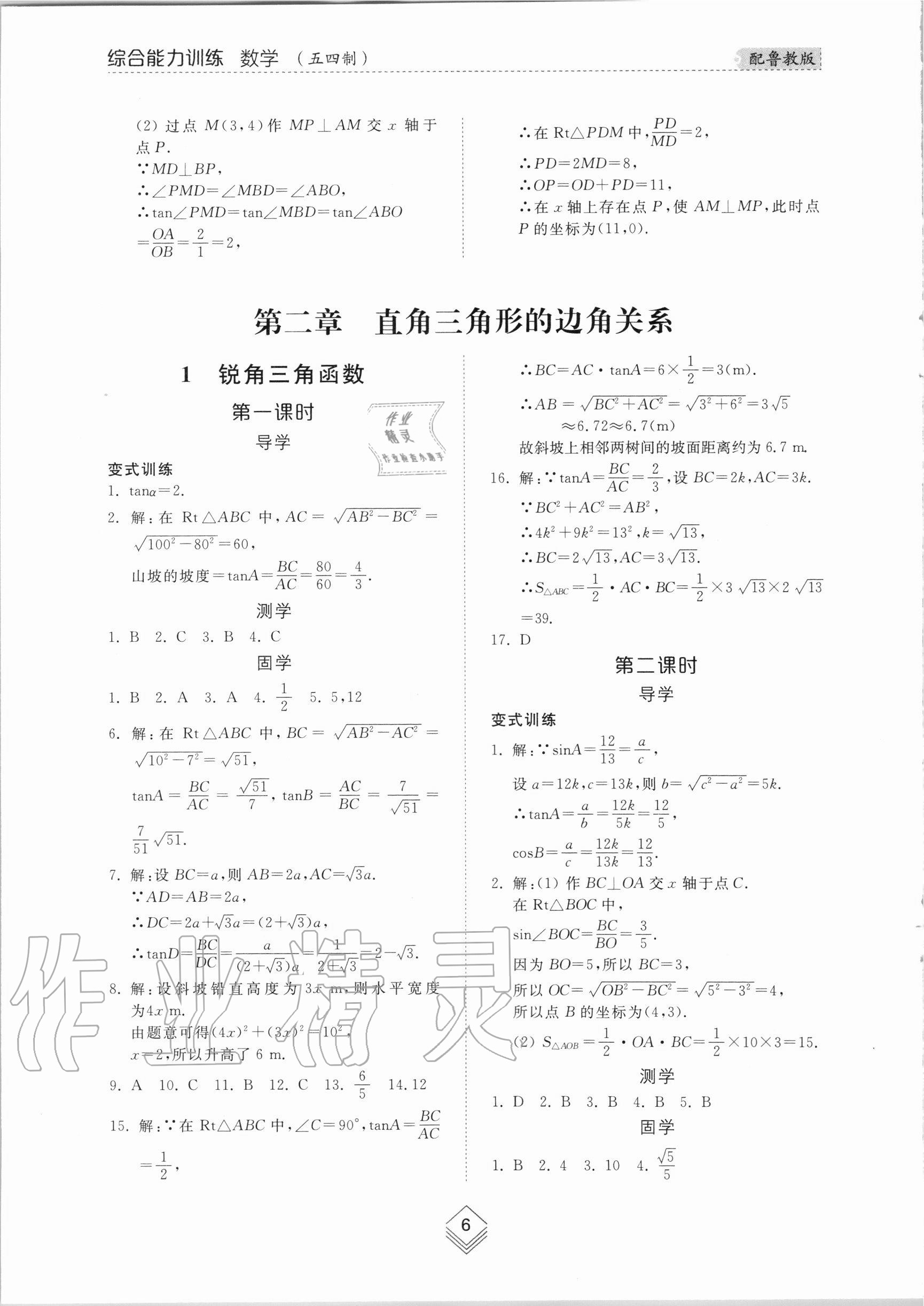 2020年综合能力训练九年级数学全一册1鲁教版五四制 参考答案第5页