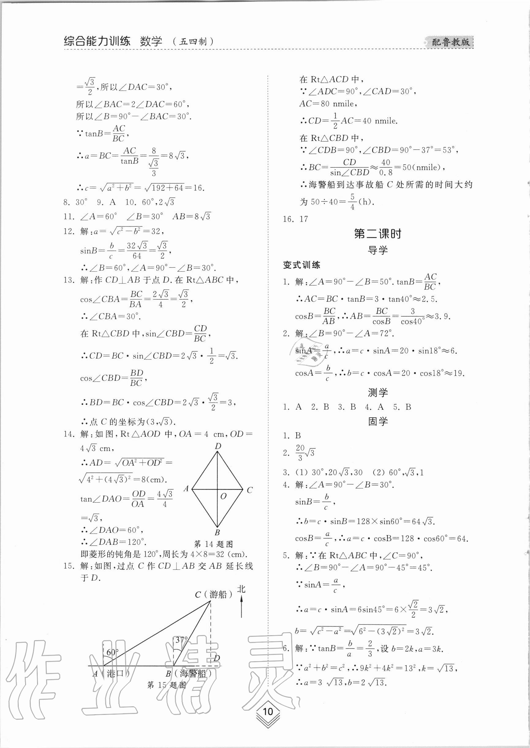 2020年综合能力训练九年级数学全一册1鲁教版五四制 参考答案第9页