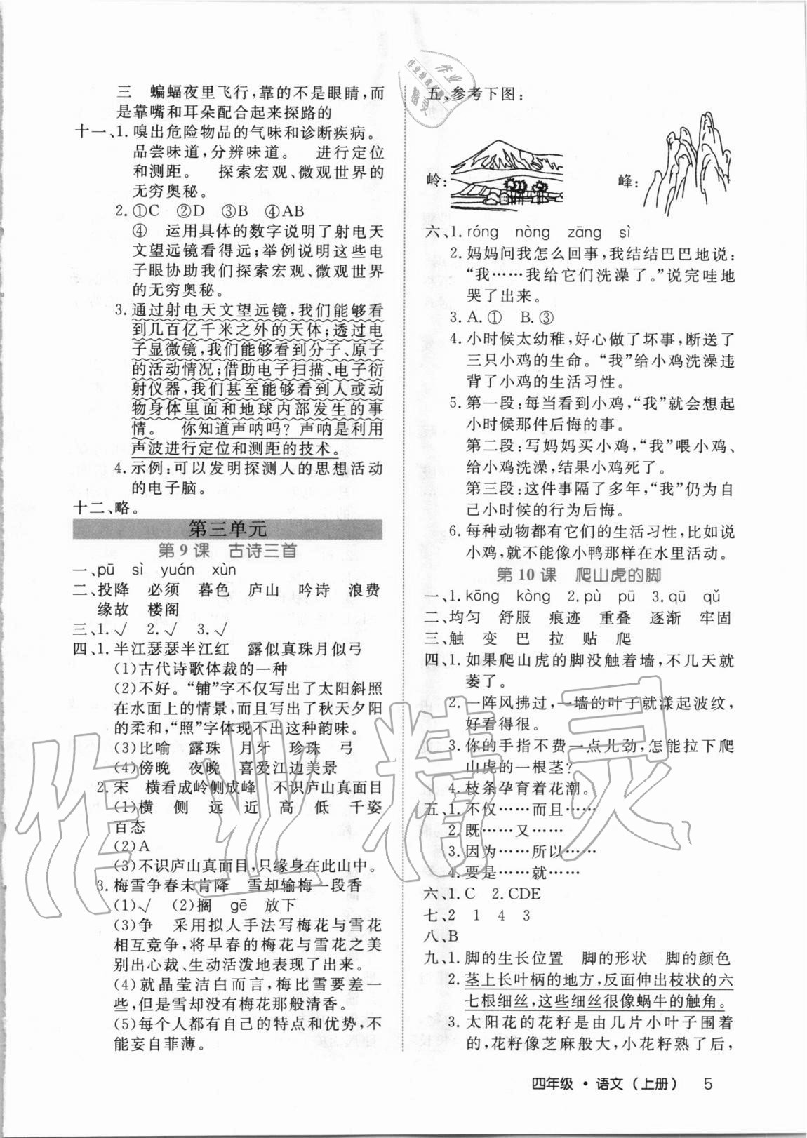 2020年细解巧练四年级语文上册人教版54制 第5页