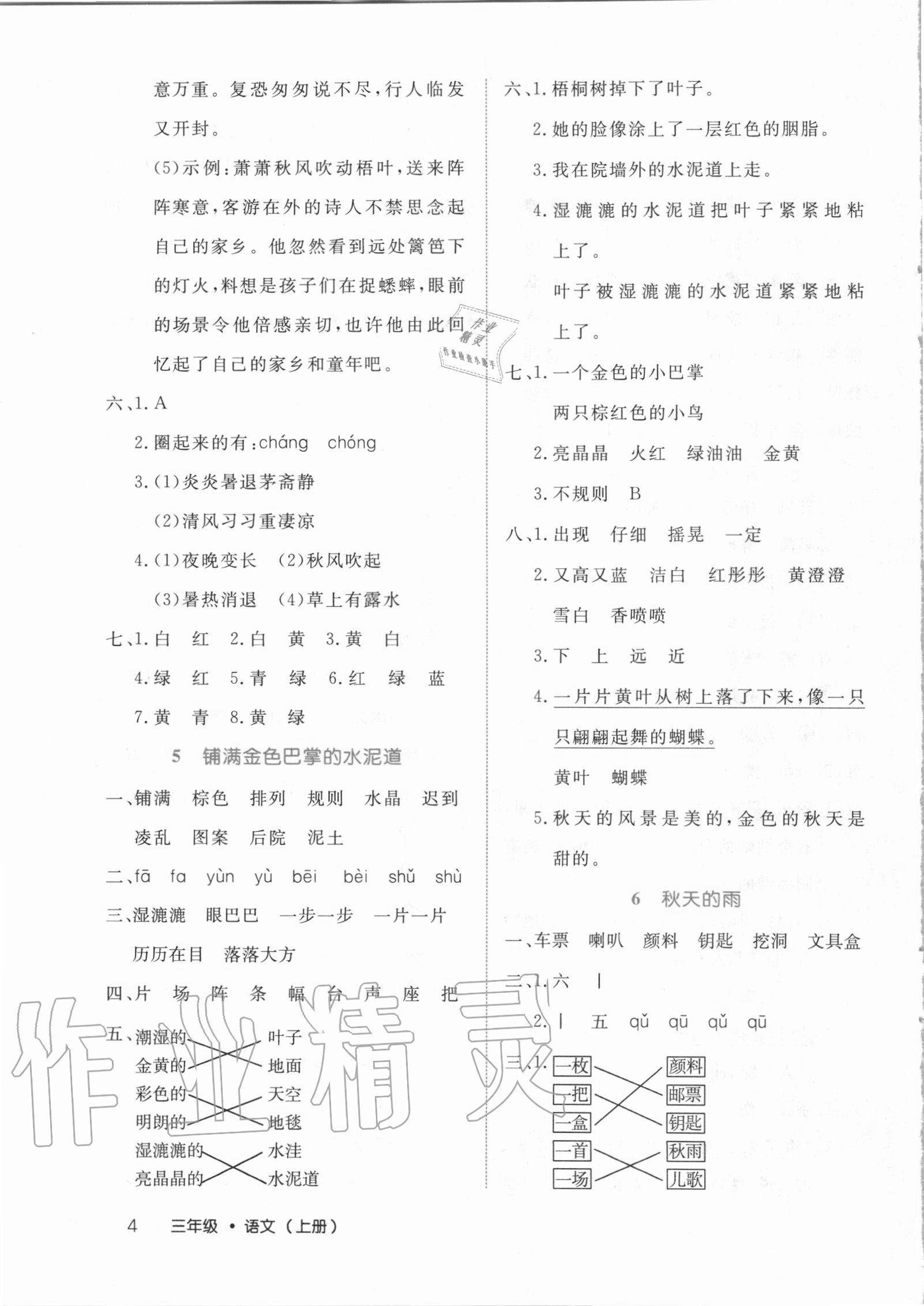 2020年细解巧练三年级语文上册人教版54制 第4页