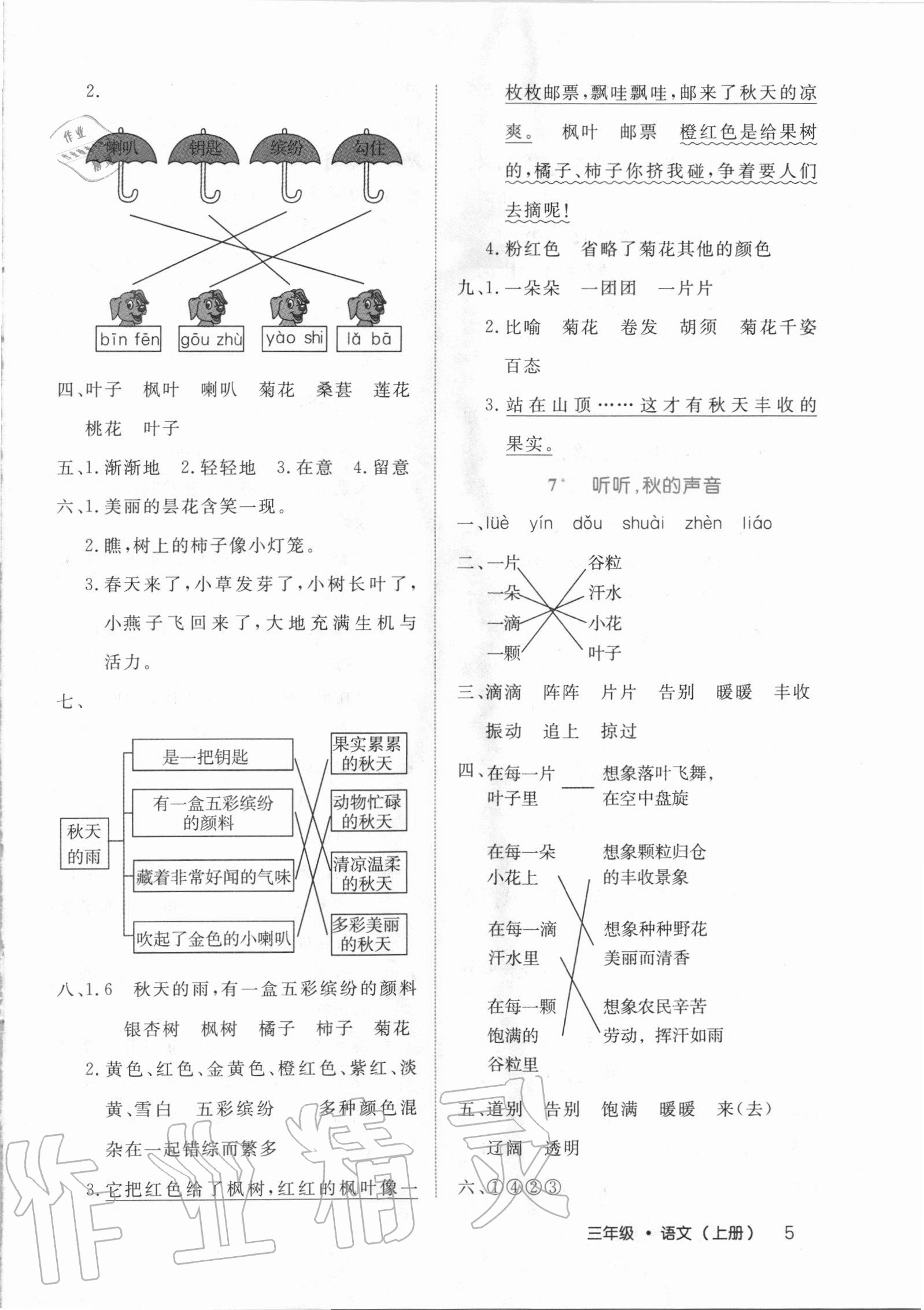 2020年细解巧练三年级语文上册人教版54制 第5页