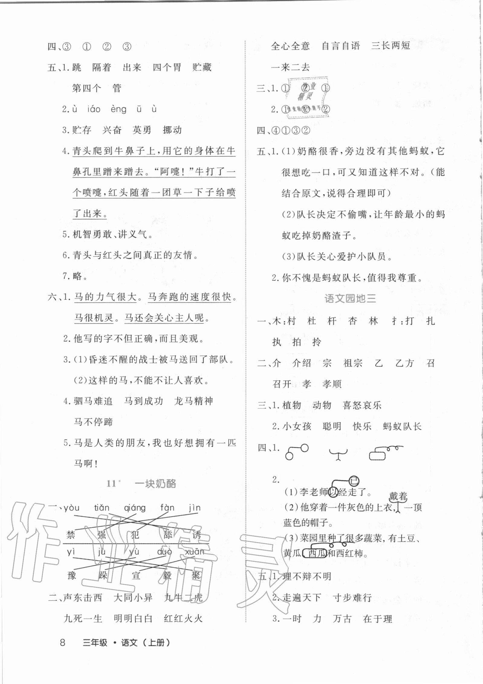 2020年细解巧练三年级语文上册人教版54制 第8页