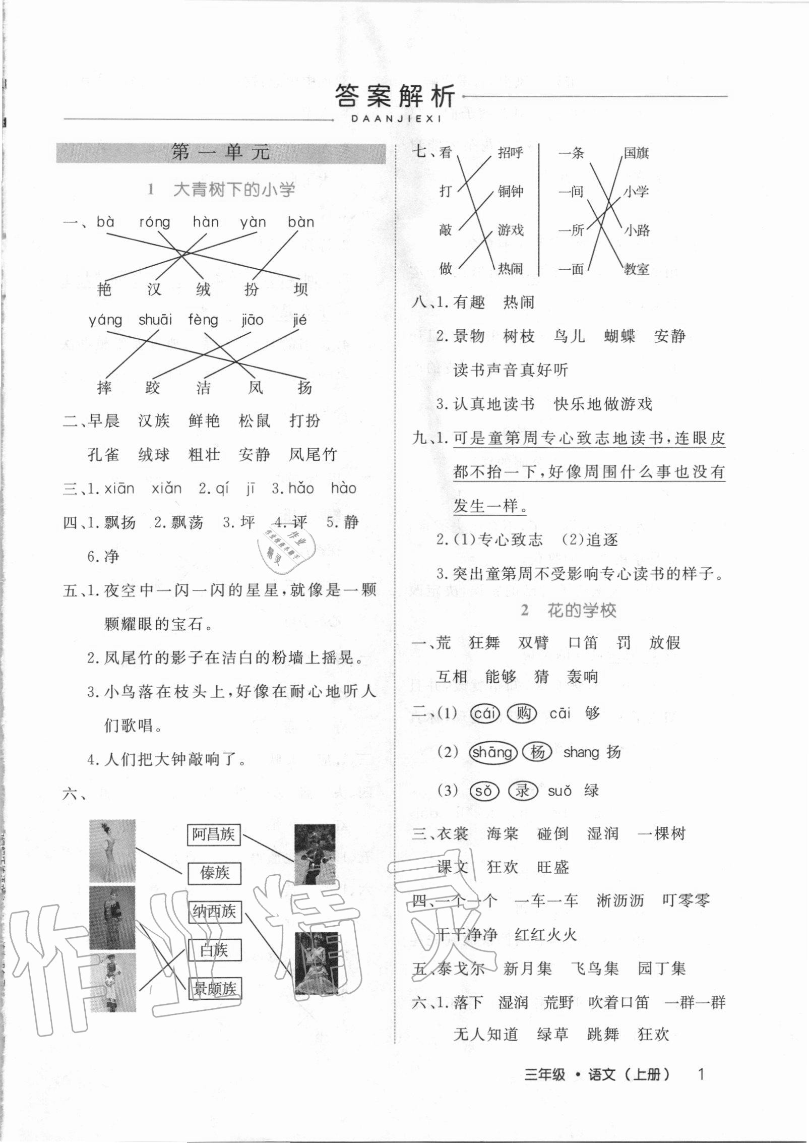 2020年细解巧练三年级语文上册人教版54制 第1页