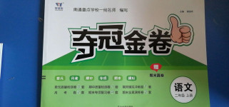 2020年智慧翔奪冠金卷二年級(jí)語(yǔ)文上冊(cè)人教版