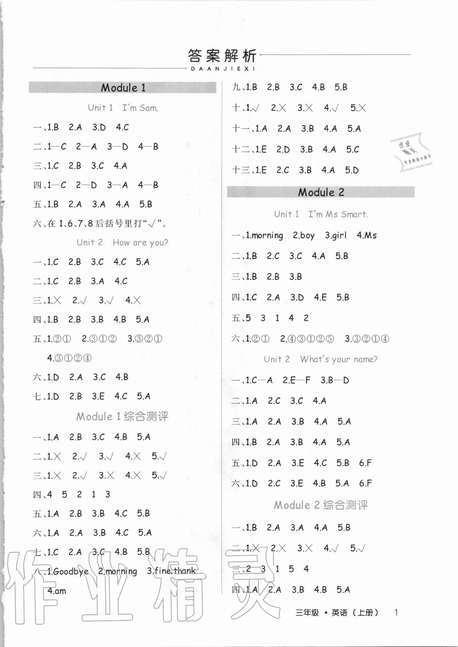 2020年细解巧练三年级英语上册鲁科版54制 第1页