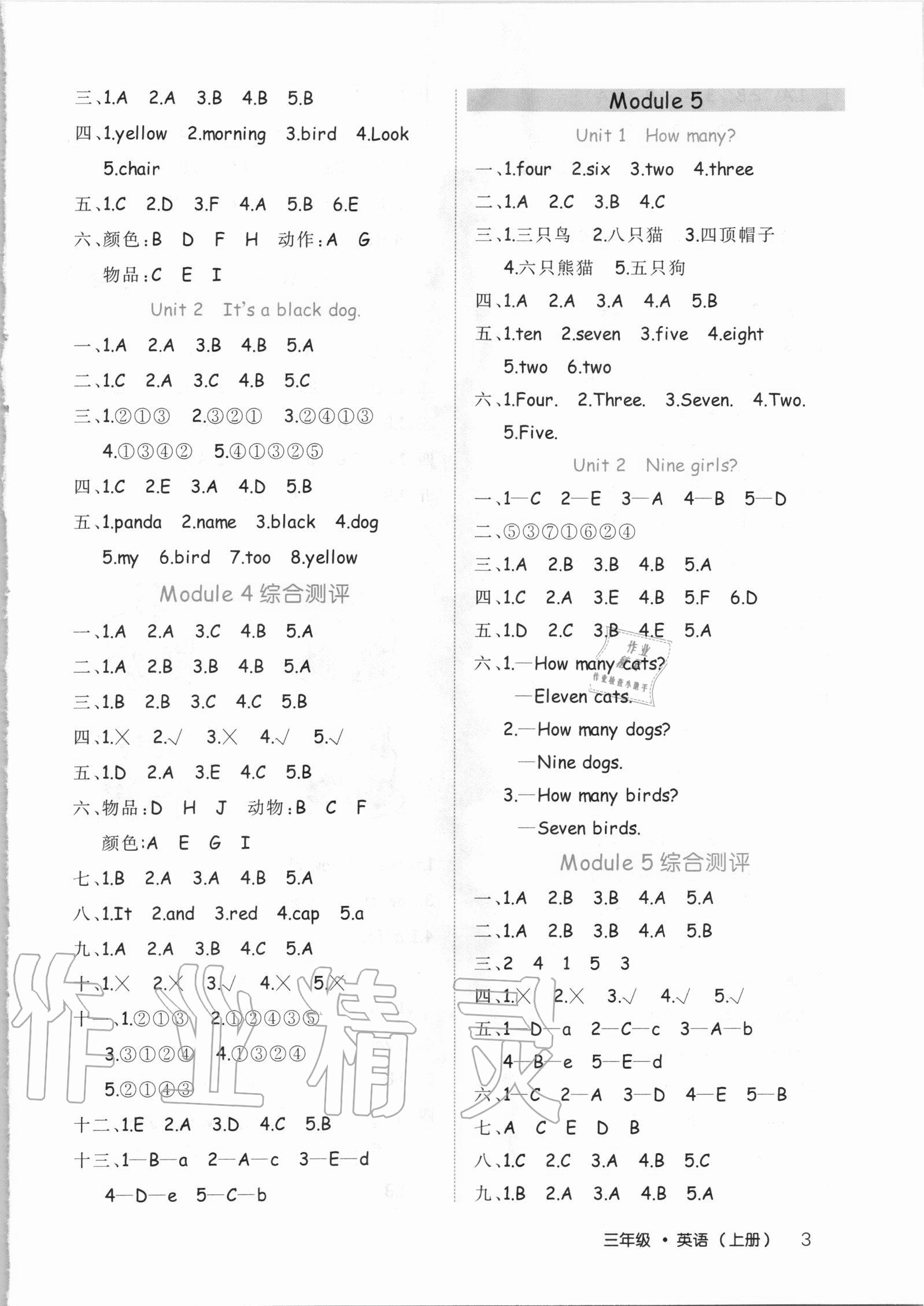 2020年細(xì)解巧練三年級(jí)英語上冊(cè)魯科版54制 第3頁