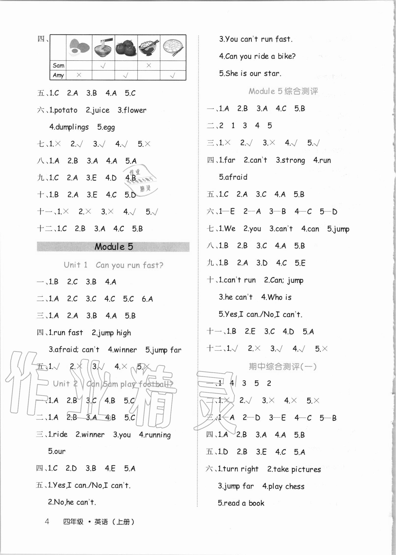 2020年细解巧练四年级英语上册鲁科版54制 第4页