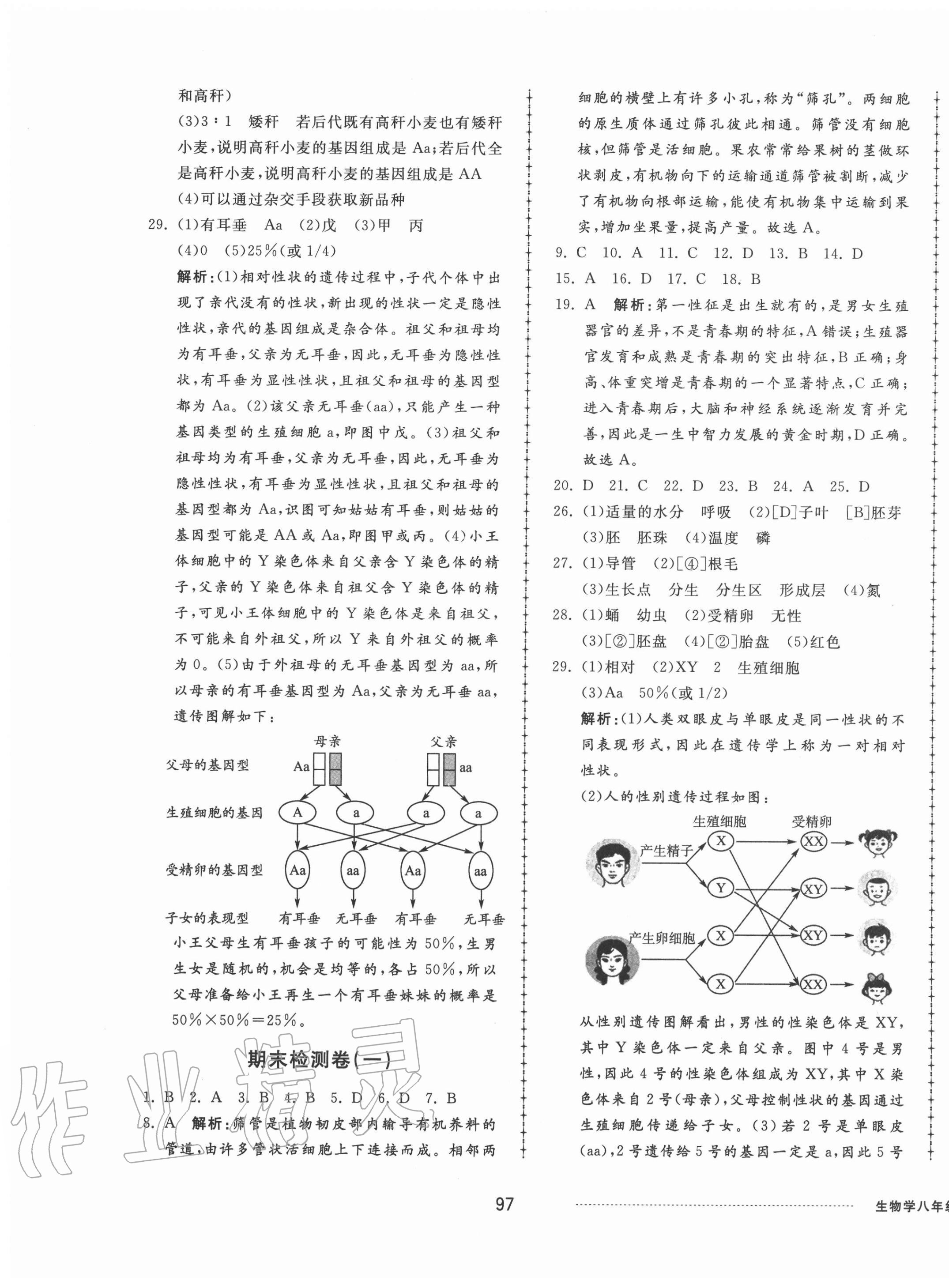 2020年同步练习册配套单元检测卷八年级生物上册济南版 第5页