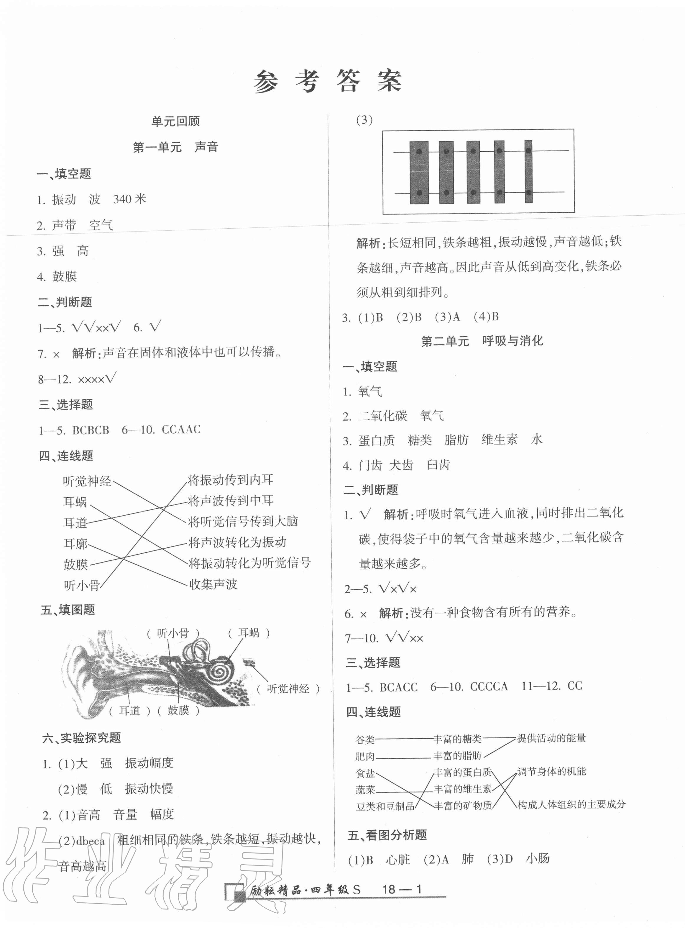 2020年浙江期末四年级科学上册教科版 第1页