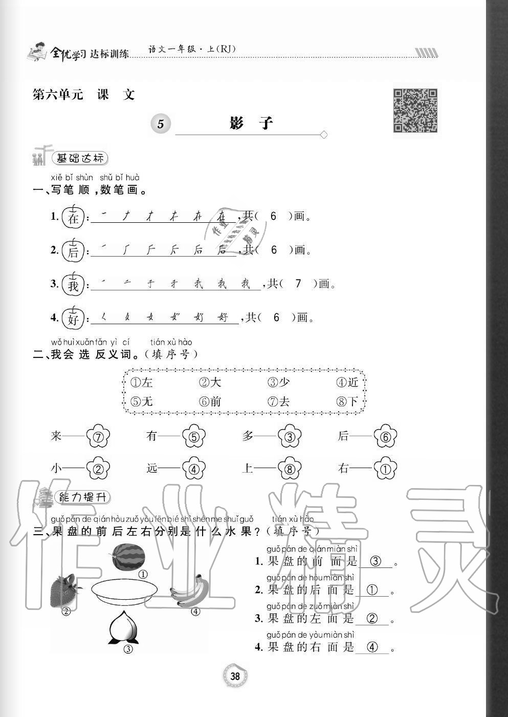 2020年全優(yōu)學(xué)習(xí)達(dá)標(biāo)訓(xùn)練一年級(jí)語文上冊(cè)人教版 參考答案第38頁