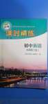 2020年新編課時(shí)精練初中英語(yǔ)九年級(jí)全一冊(cè)外研版