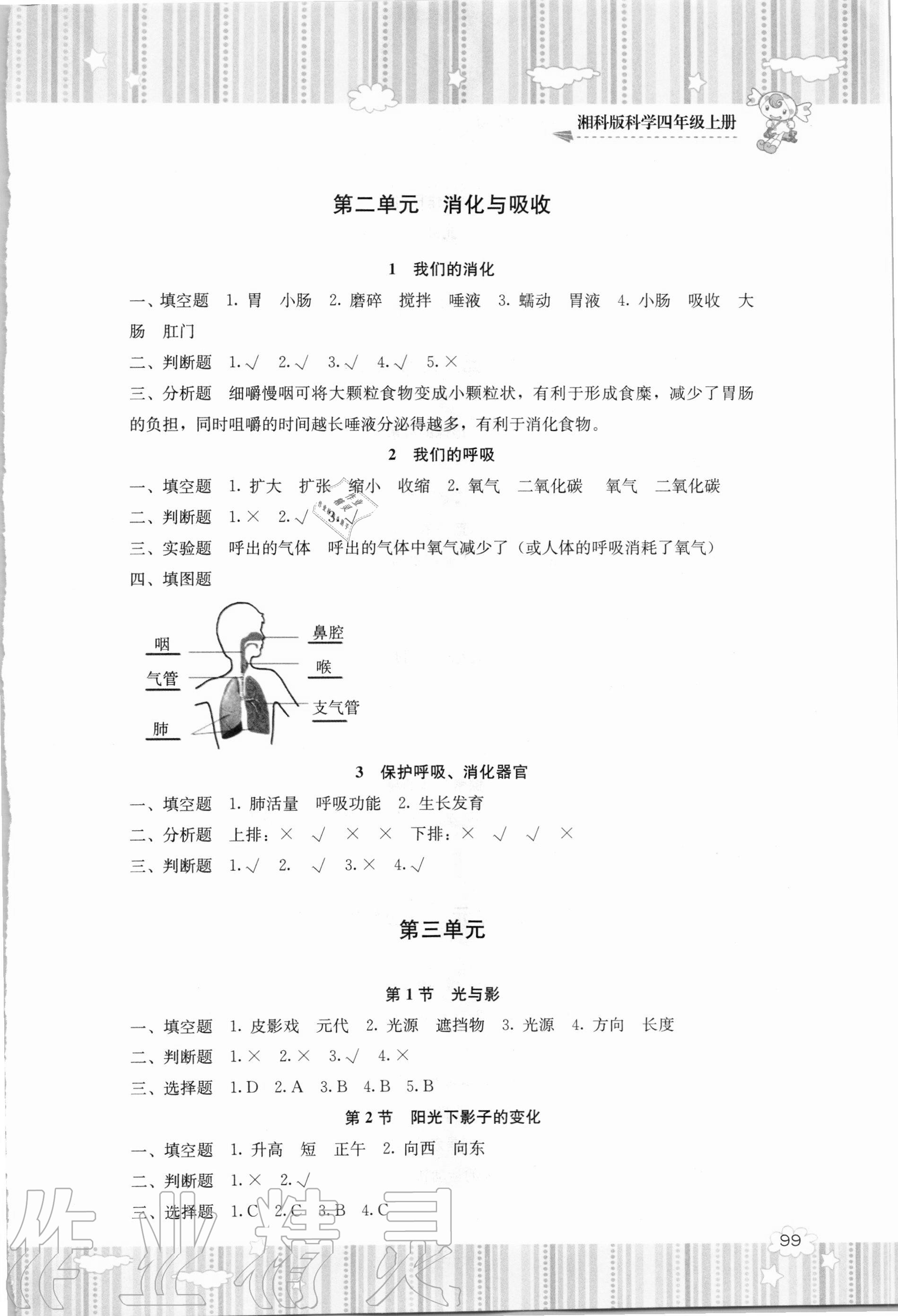 2020年同步實踐評價課程基礎訓練四年級科學上冊湘科版 參考答案第2頁