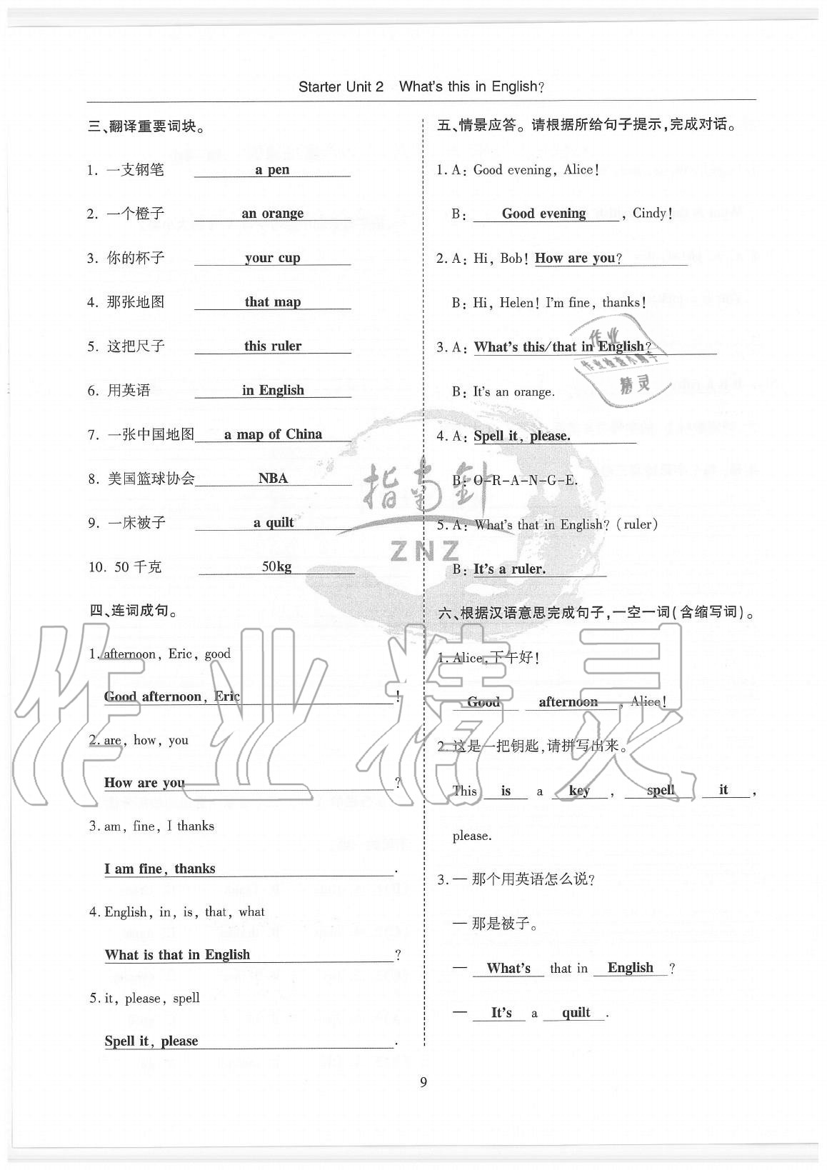 2020年指南針高分必備七年級英語上冊人教版 參考答案第9頁